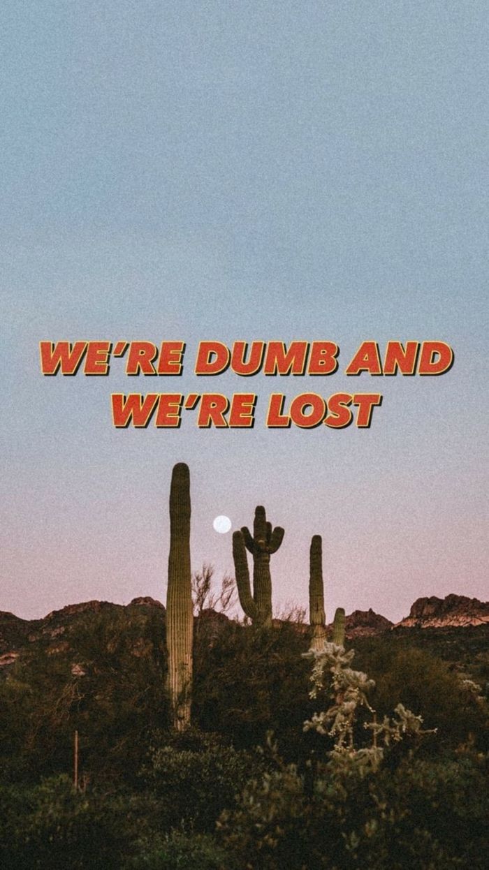 We're Dumb and We're Lost, Kaktus, Wüste, Zitat, Abendhimmel, Hintergrundbild fürs Handy