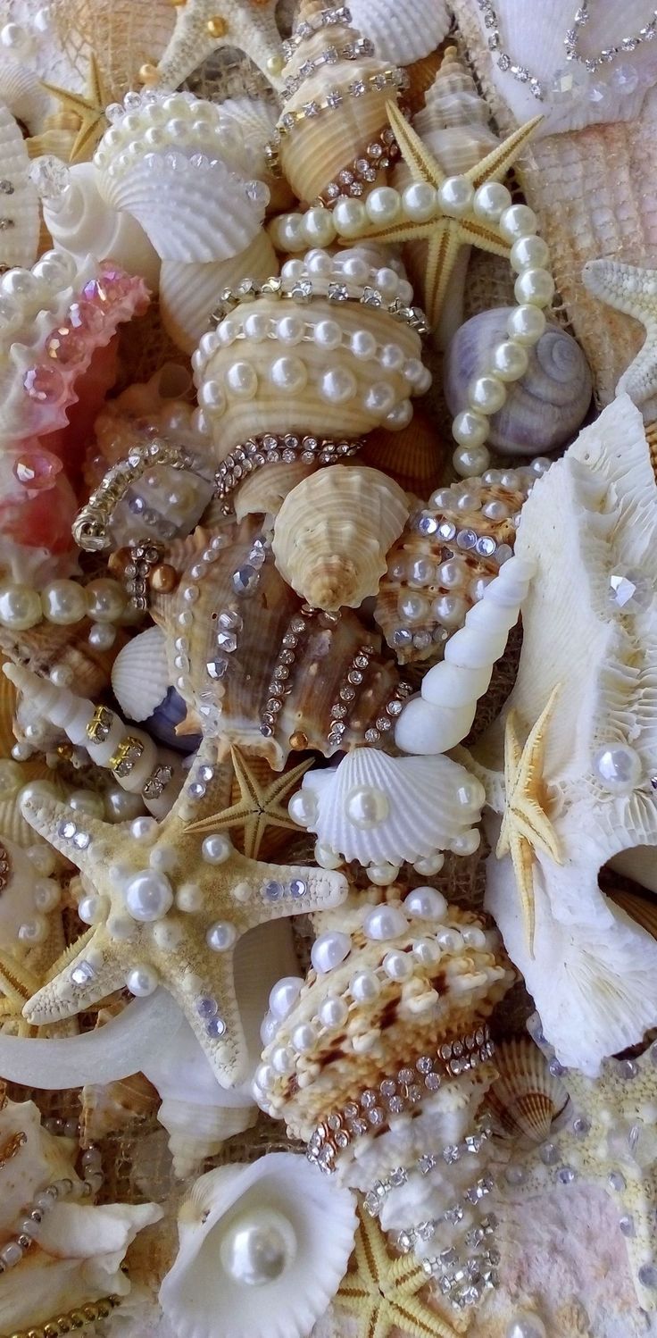 Muscheln, Seesterne, Perlen, Strand, Beige Töne, HD, Sperrbildschirm fürs iPhone