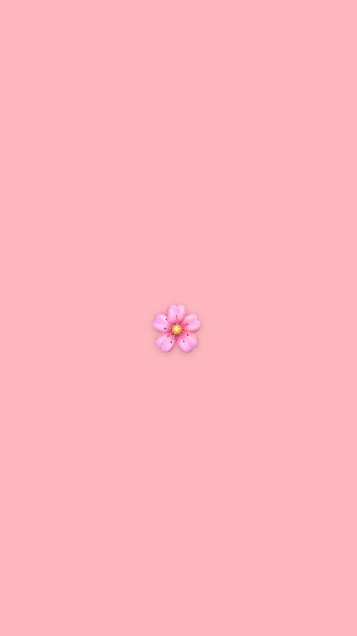 Rosa Hintergrund, Kleine Blüte, Minimalistisch, HD, Sperrbildschirm fürs iPhone