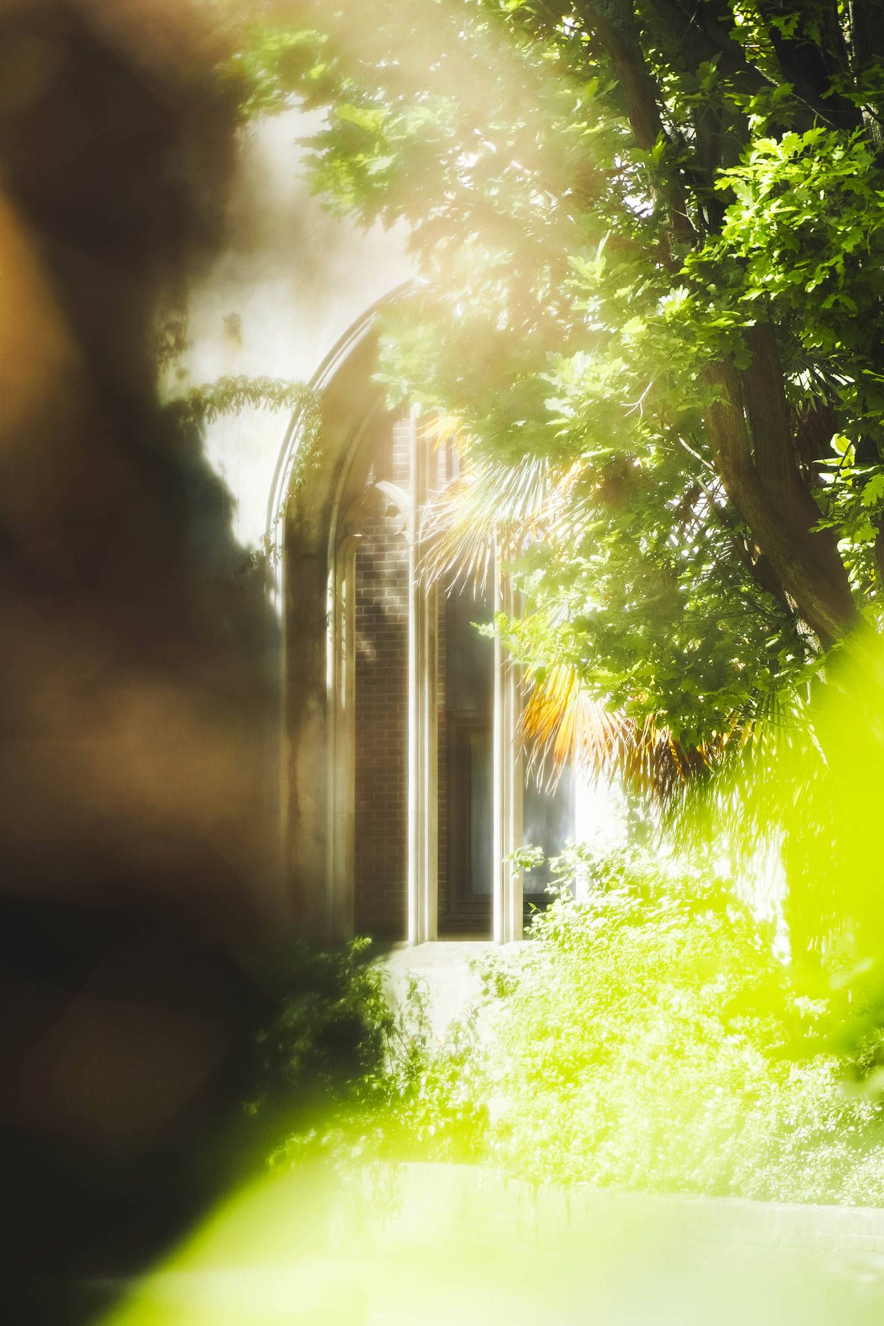 Grüne Blätter, Sonnenlicht, Garten, Bokeh, Natur, Full HD, Handy-Hintergrund im Hochformat