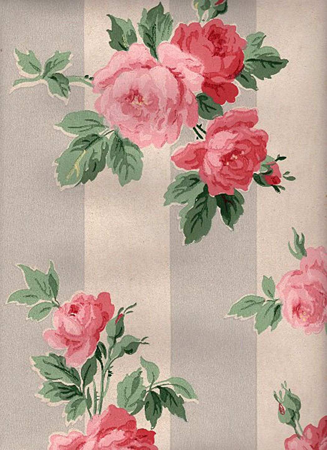 Rosen, Streifentapete, Floral, Altrosa, HD, iPad-Hintergrundbild