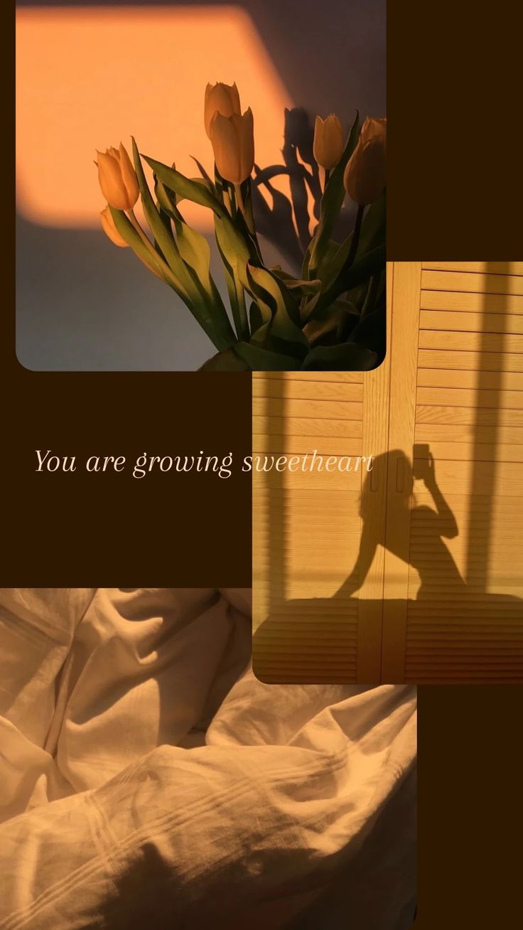 Silhouette, Tulpen, Schatten, Collage, Warmes Licht, Hochformat, Hintergrundbild fürs Smartphone