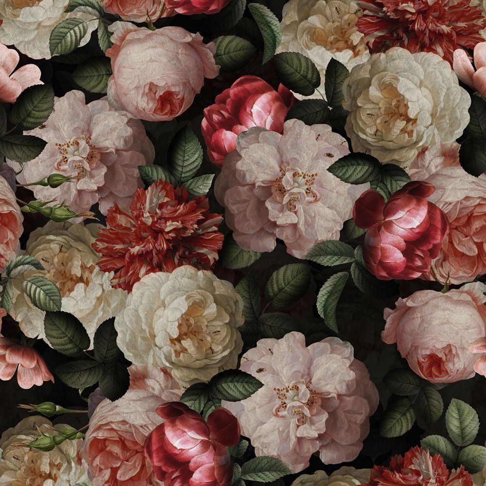 Rosen, Blumenmuster, Dunkler Hintergrund, Floral, Wallpaper