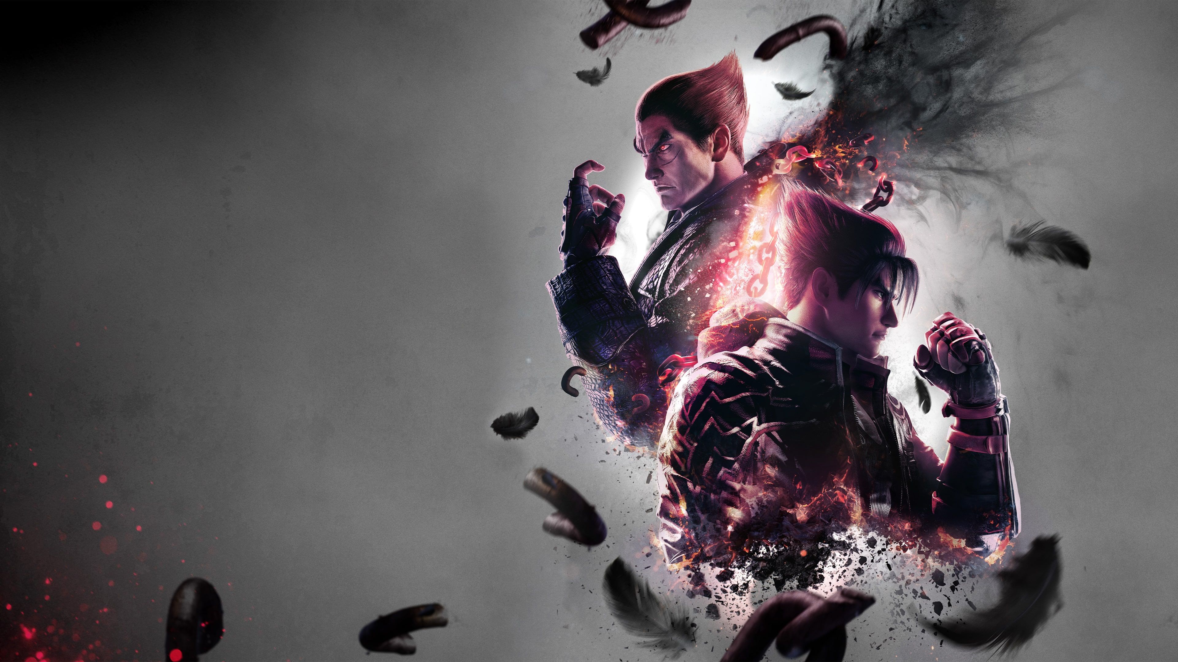 Jin Kazama, Kazuya Mishima, Tekken 8, Federn, Grauer Hintergrund, 4K Wallpaper
