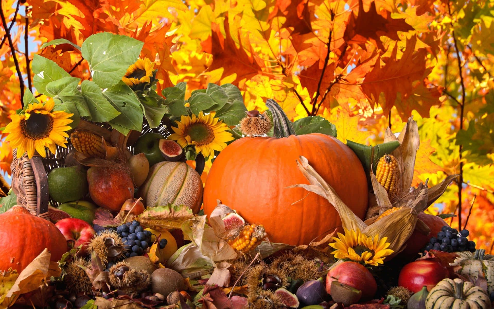 Kürbis, Sonnenblumen, Herbstlaub, Ernte, Obst und Gemüse, Erntedank, Full-HD-Hintergrundbild für PC
