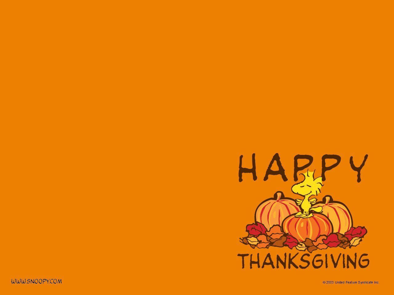 Woodstock, Die Peanuts, Happy Thanksgiving, Kürbisse, Orange, Hintergrundbild fürs Tablet