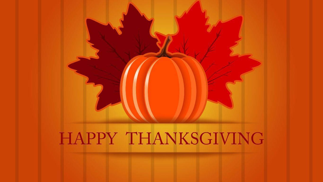 Kürbis, Ahornblätter, Happy Thanksgiving, Orange, Holzwand, HD, Laptop-Hintergrundbild