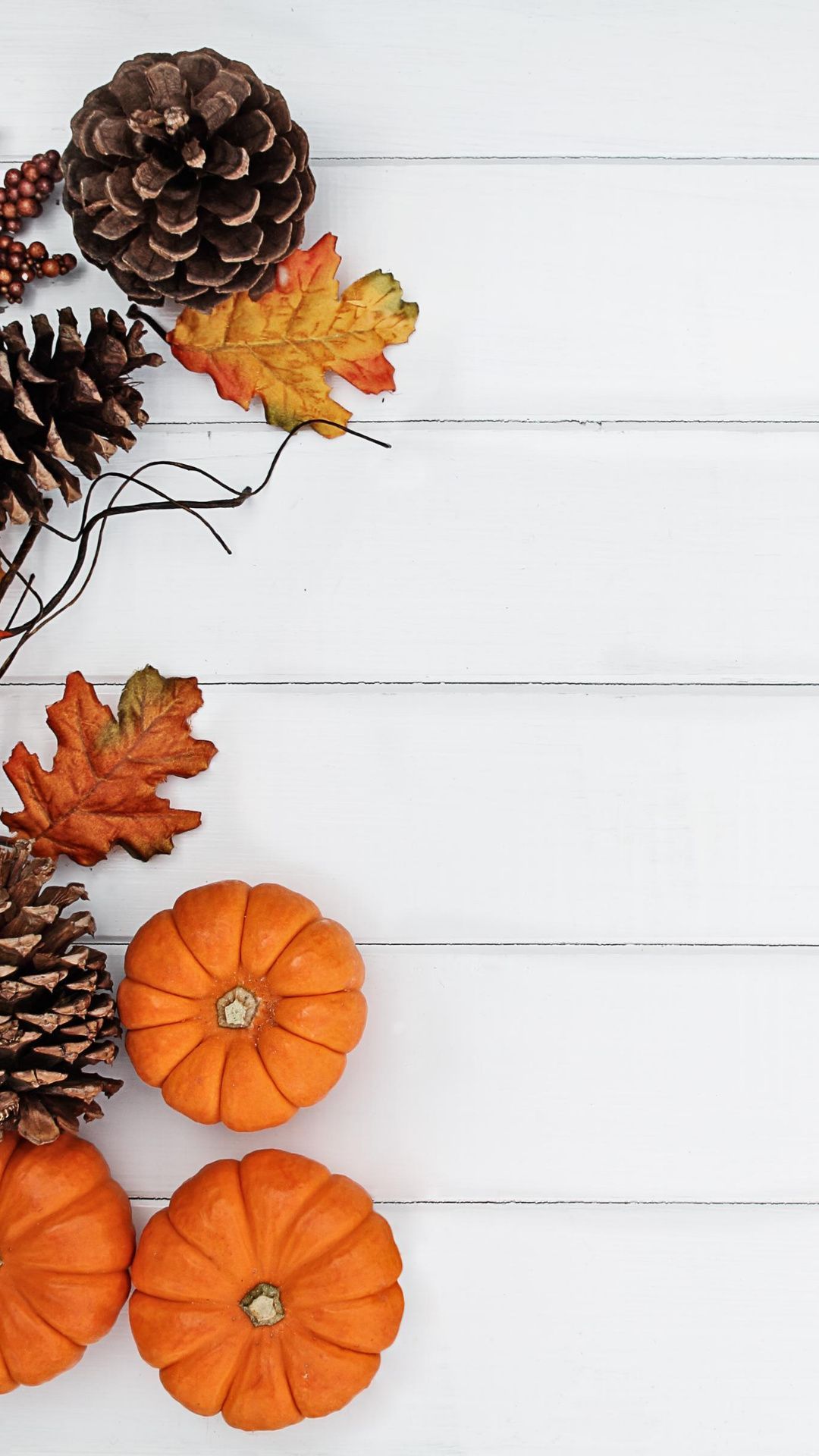 Kürbisse, Tannenzapfen, Weiße Holzbretter, Herbstdeko, Flatlay, Full HD, Handy-Hintergrundbild