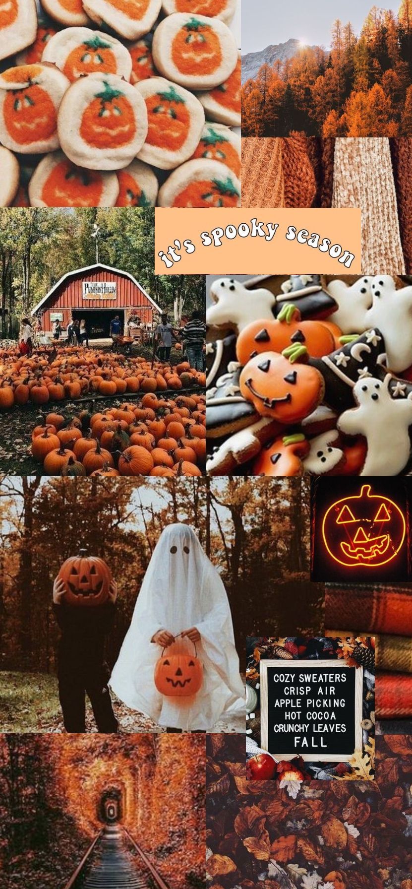 Herbst-Collage, Kürbisse, Gespenst, Halloween, Orange, Hintergrundbild für iPhone und Android