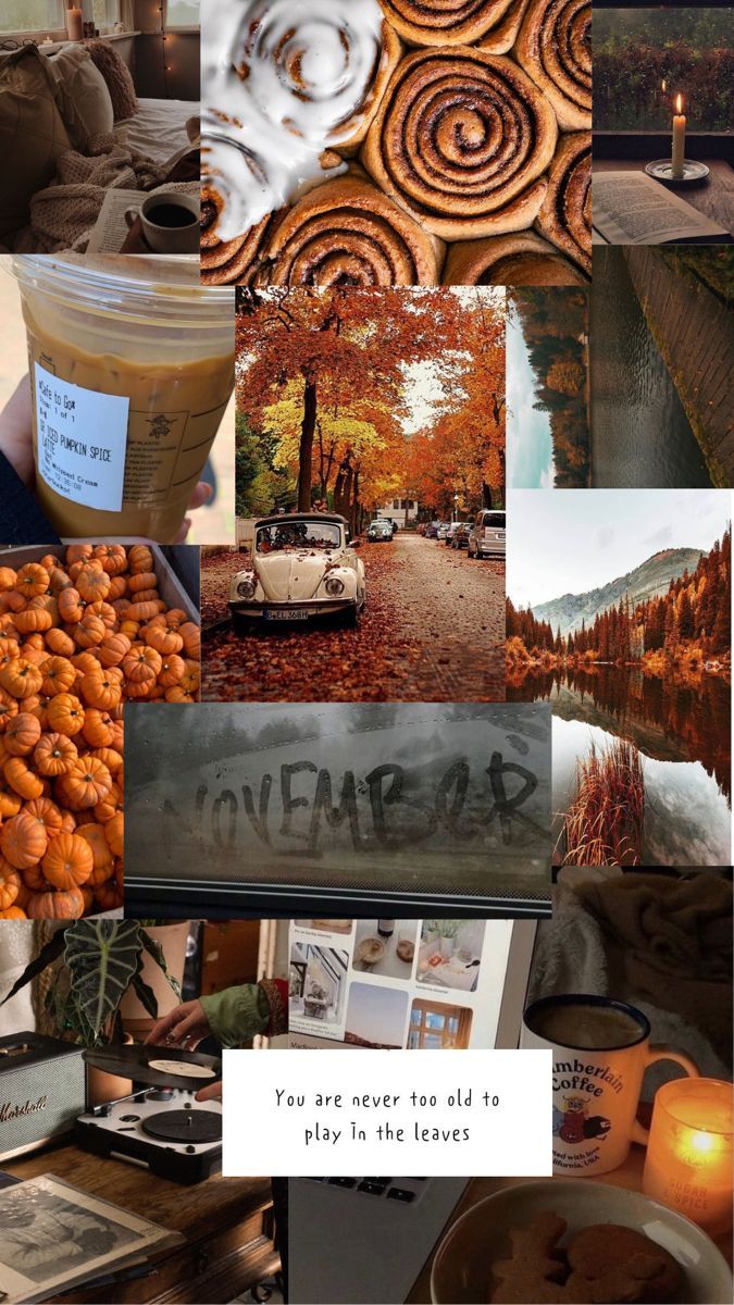 Herbst-Collage, November, Zimtschnecken, Kürbisse, Ästhetik, Android-Hintergrundbild