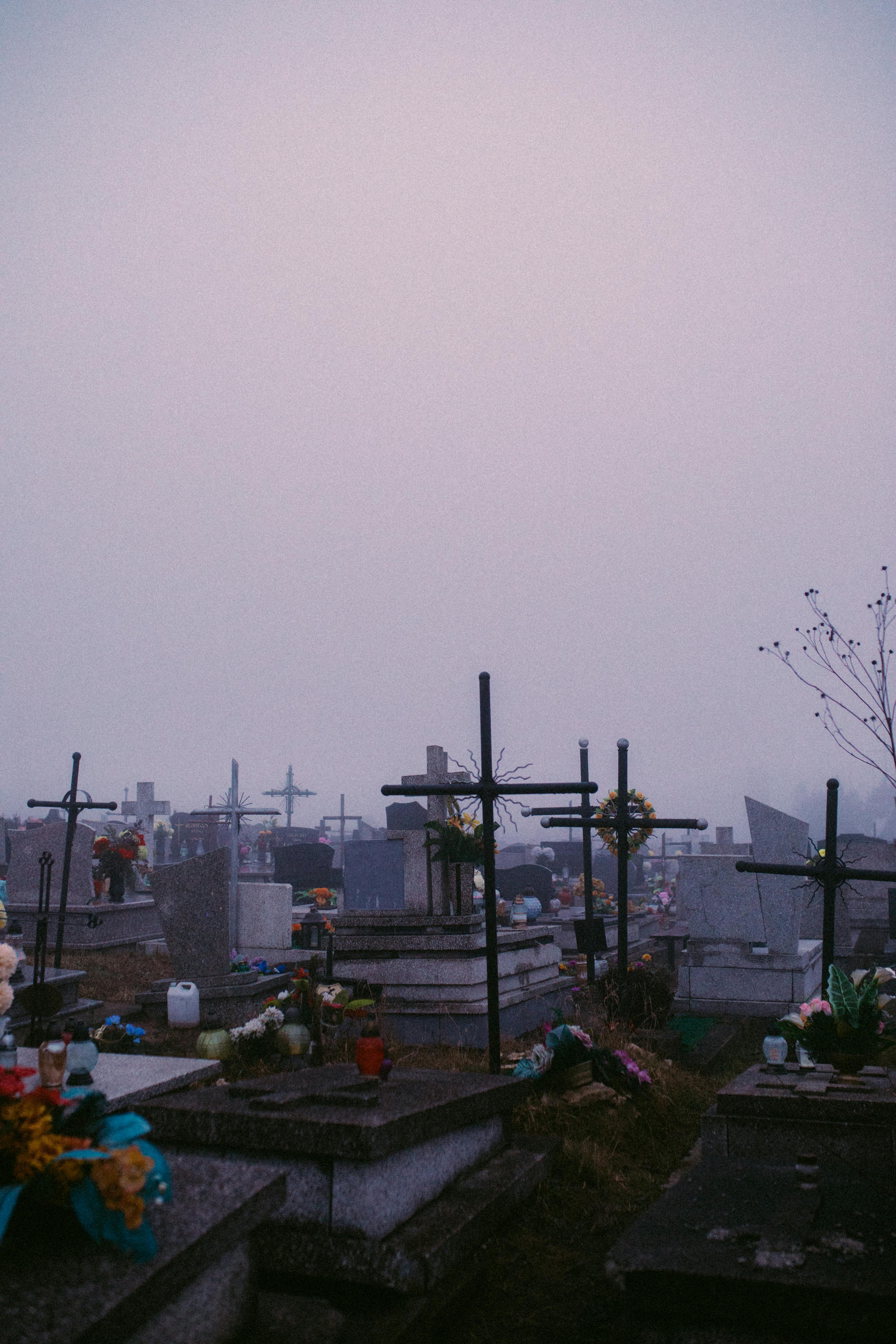 Friedhof, Grabkreuze, Nebel, Abenddämmerung, Gräber, Hochformat, Hintergrundbild fürs Smartphone