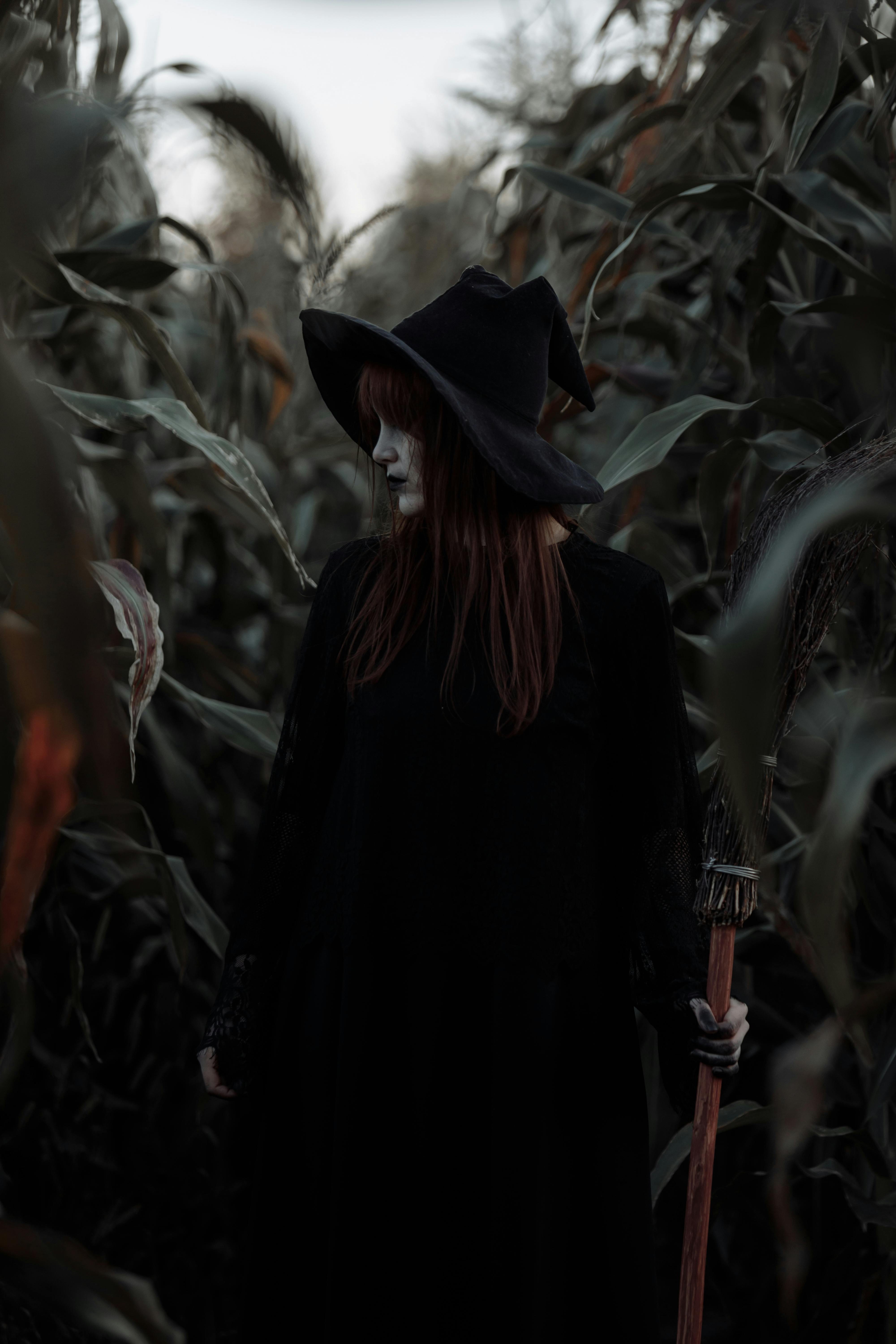 Hexe, Maisfeld, Spitzer Hut, Dunkel, Halloween, QHD+, iPad-Hintergrundbild