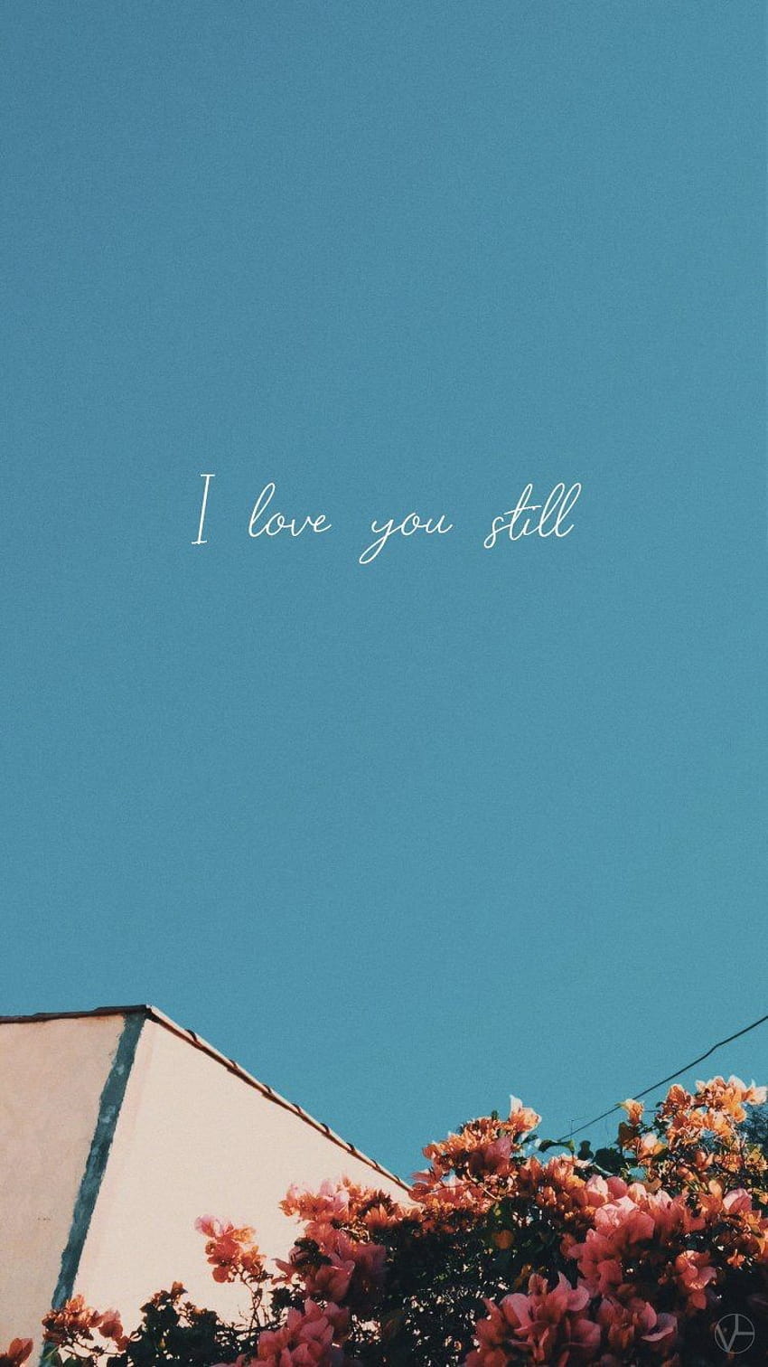 I love you still, Liebeszitat, Blauer Himmel, Blumen, Minimalistisch, HD, Handy-Hintergrund