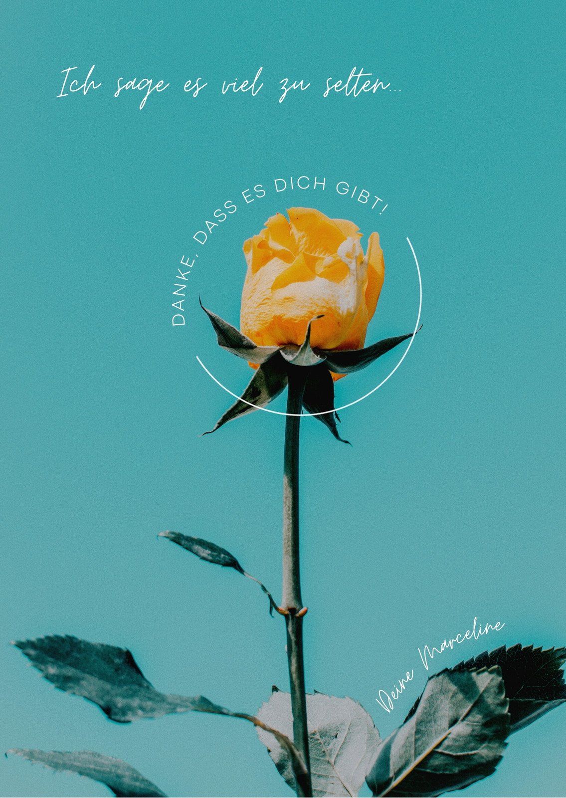 Gelbe Rose, Liebeszitat, Türkis, Handschrift, Blume, Full HD, Hintergrundbild fürs Tablet