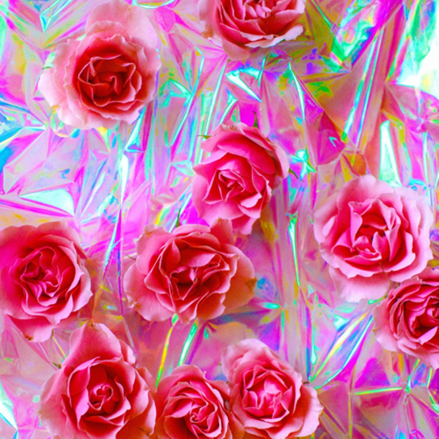 Rosa Rosen, Holografisch, Irisierend, Blumen, Bunt, HD, Hintergrundbild fürs Tablet