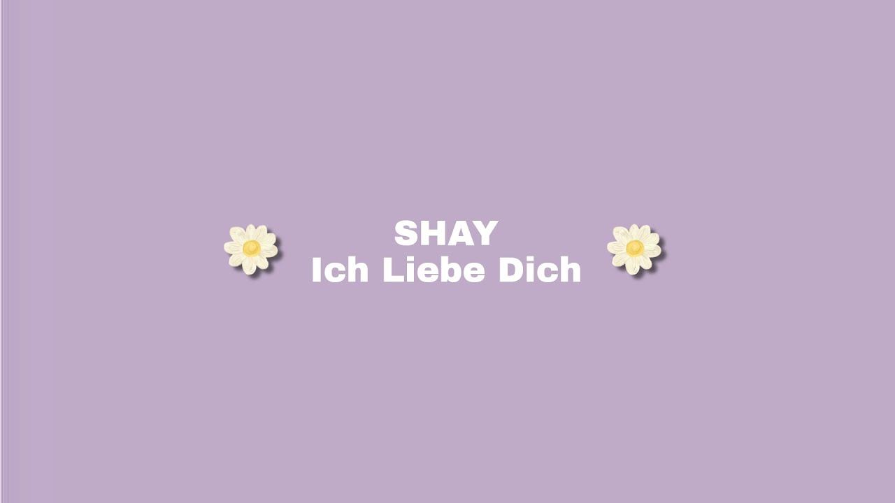 SHAY, Ich liebe dich, Gänseblümchen, Lila Hintergrund, Typografie, HD Wallpaper