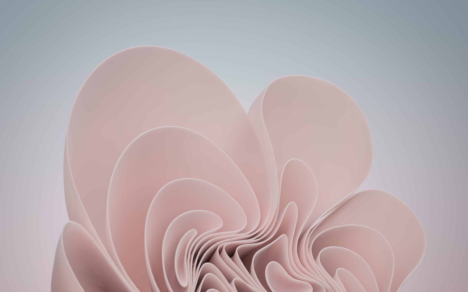 Windows 11, Bloom, Abstrakte Blüte, Beige, Hell, 16:10, Full-HD-Hintergrundbild für den Desktop