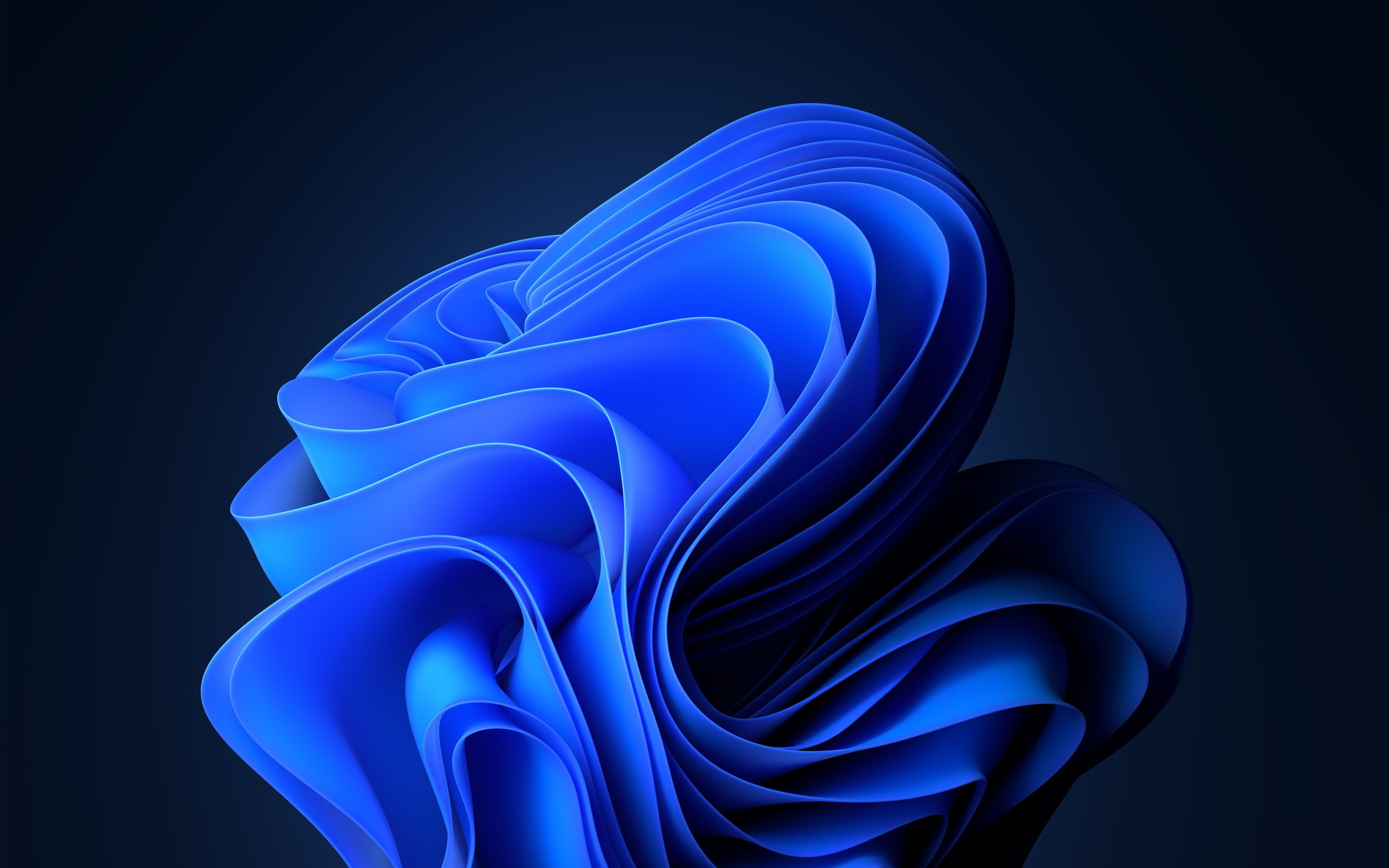 Windows 11, Bloom, Blaue Blüte, Dunkelblau, 4K, Hintergrund für den Desktop