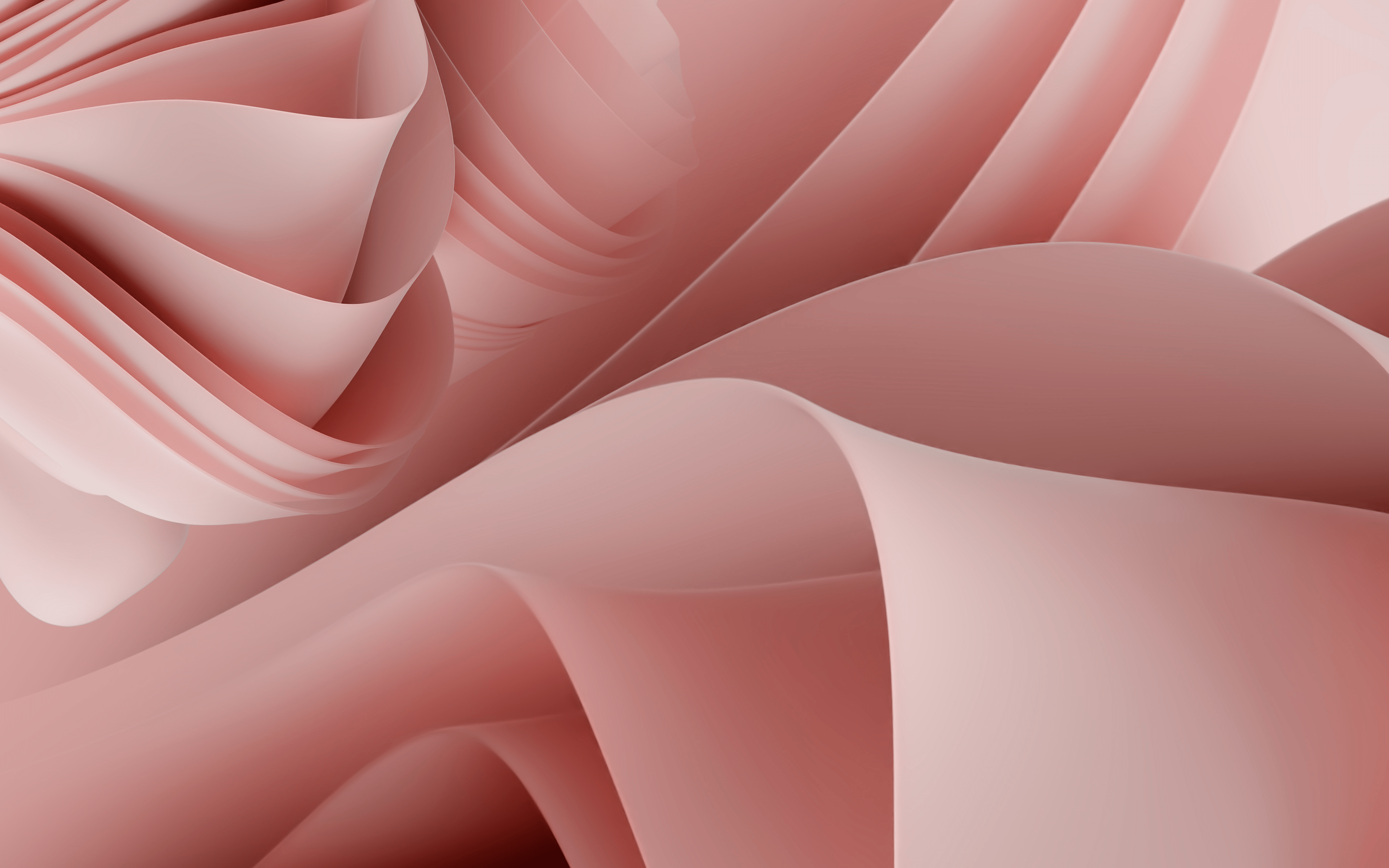 Windows 11, Bloom, Rosa, Stoff, Abstrakt, 4K, Hintergrundbild für den PC