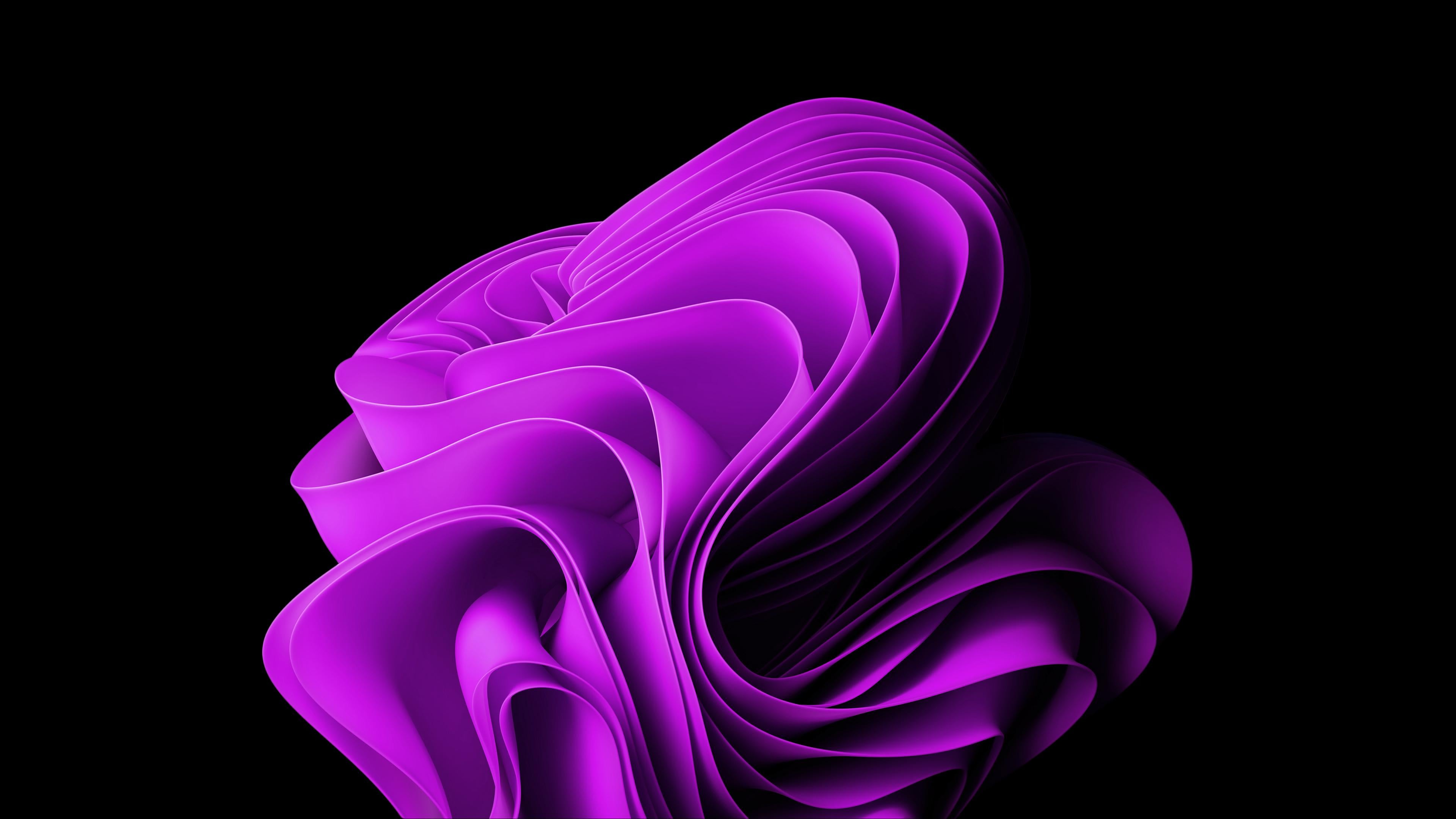 Windows 11, Bloom, Lila, Schwarzer Hintergrund, 4K Wallpaper