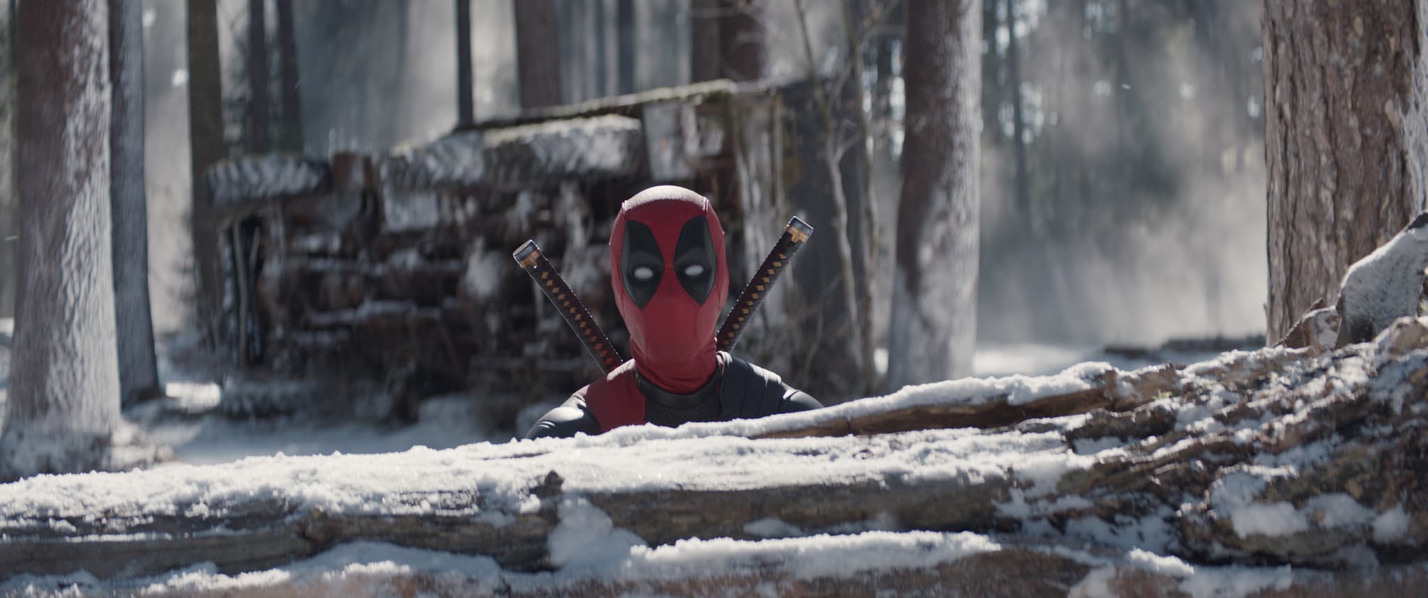 Deadpool, Schnee, Autowrack, Wald, Winter, Full HD, Desktop-Hintergrund für Windows