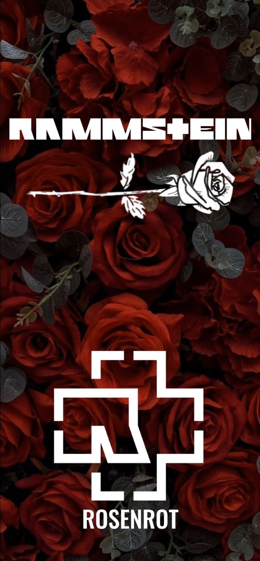 Rosenrot, Rammstein, Rammstein-Logo, Rosen, Rot, HD, Hintergrundbild fürs Handy