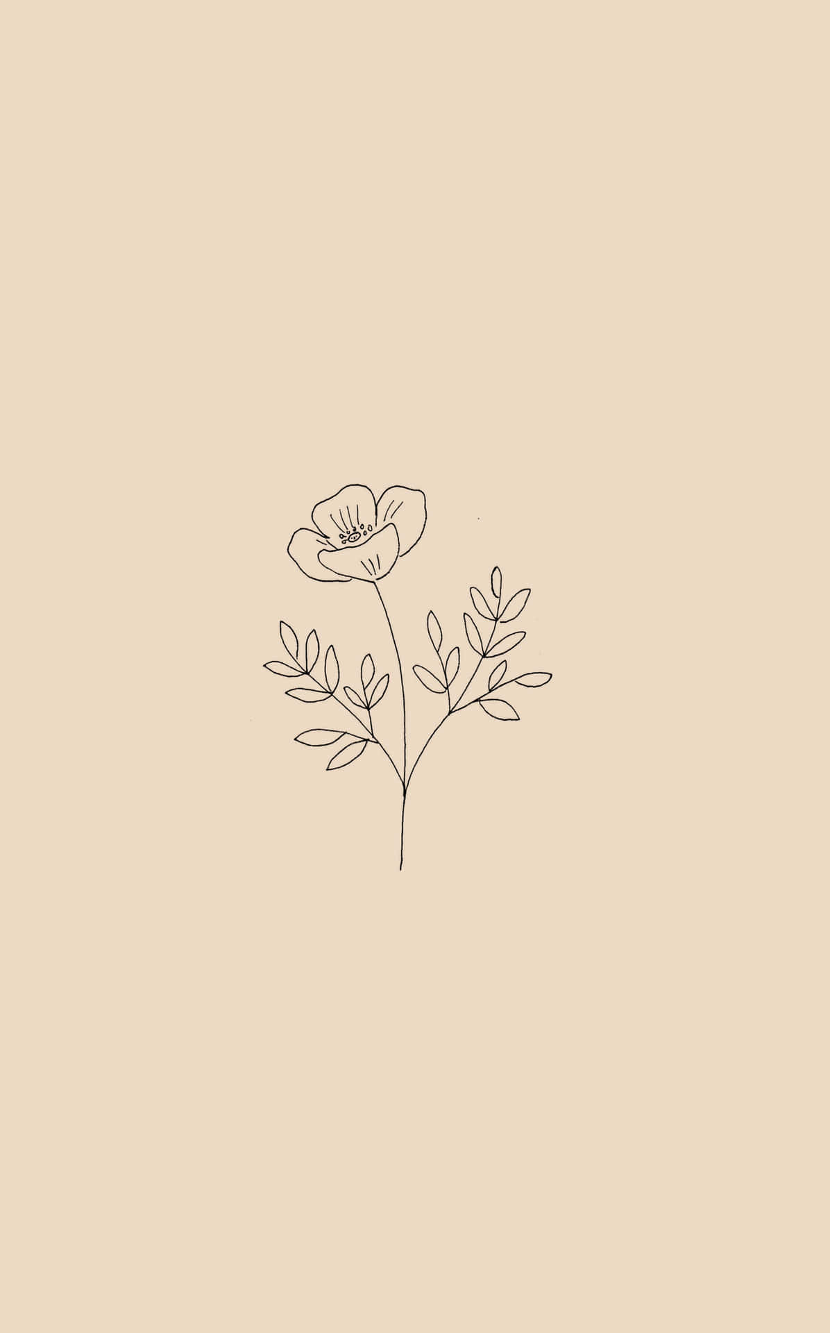 Strichzeichnung, Minimalismus, Beiger Hintergrund, Wildblume, Line Art, Sperrbildschirm fürs iPhone