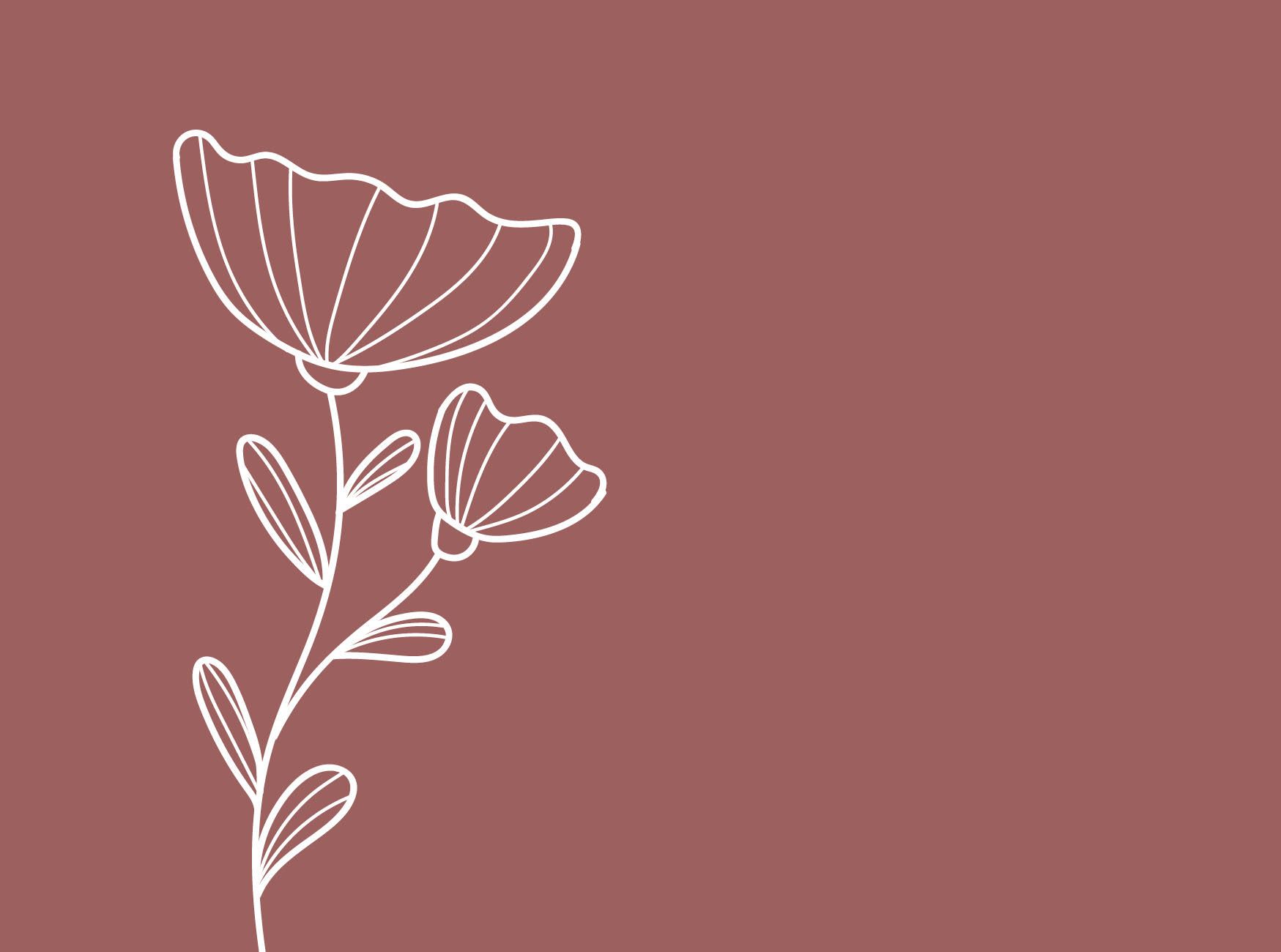 Line Art, Weiße Linien, Mohnblumen, Rotbrauner Hintergrund, Minimalismus, HD Wallpaper