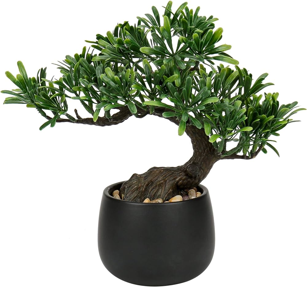Bonsai, Topfpflanze, Weißer Hintergrund, Grün, Wallpaper