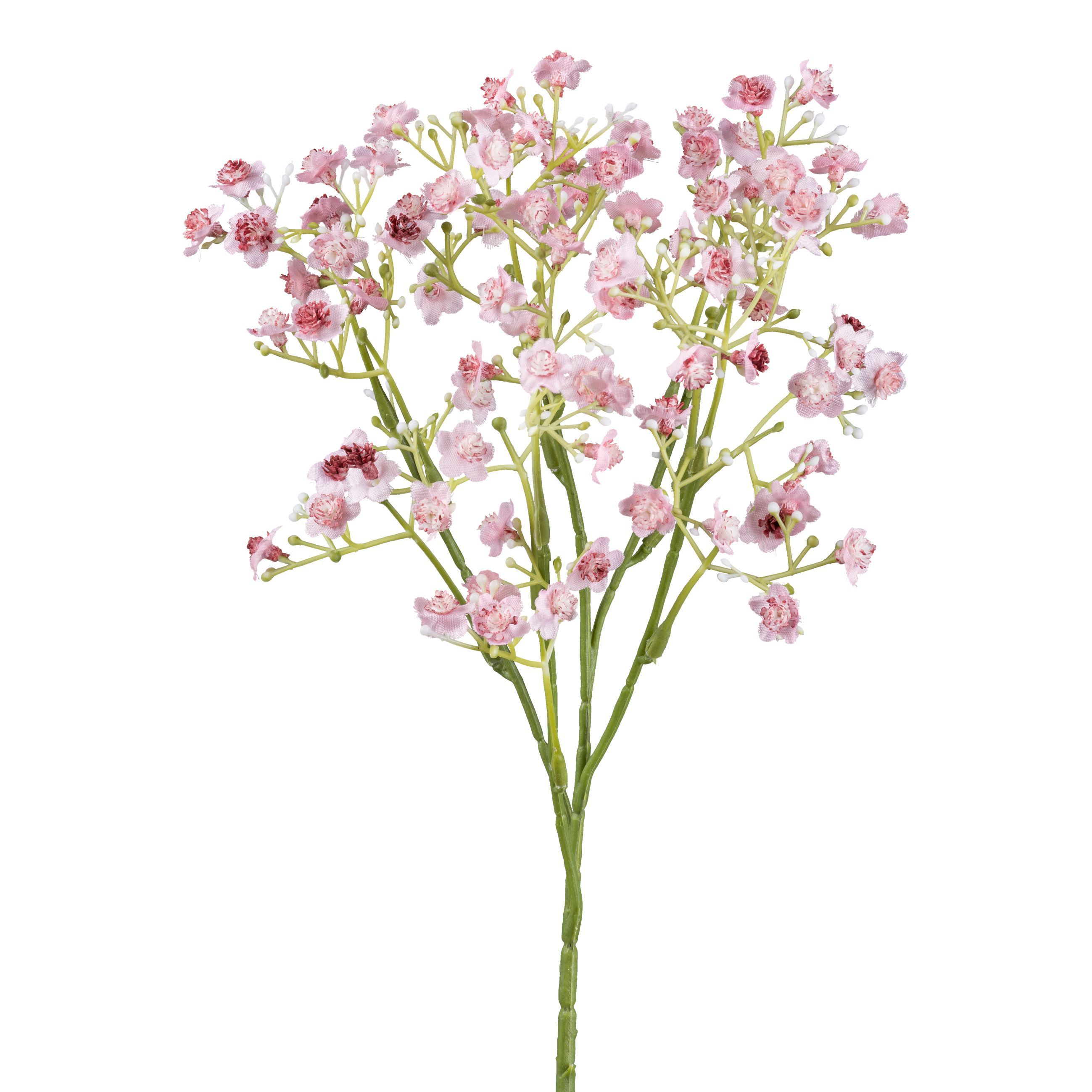 Schleierkraut, Rosa Blüten, Weißer Hintergrund, Zweig, Minimalistisch, 2K Wallpaper
