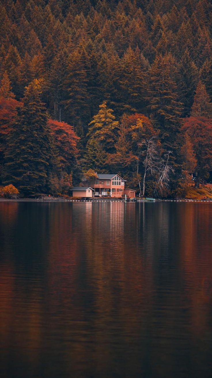 See, Herbstwald, Haus am See, Spiegelung, Herbst, Hintergrundbild für iPhone und Android
