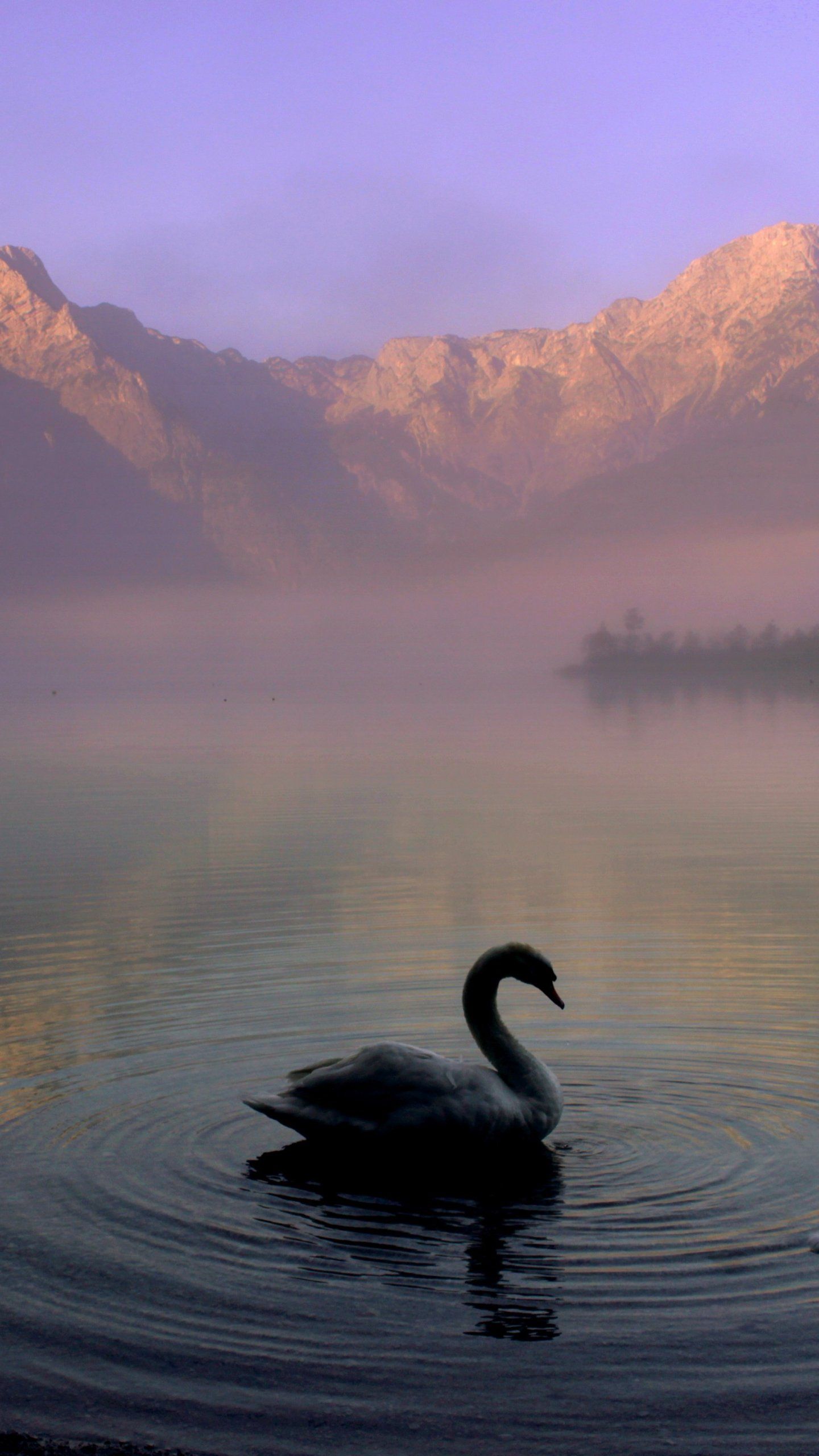 Schwan, Bergsee, Nebel, Lila Himmel, Silhouette, QHD+, Handy-Hintergrund im Hochformat