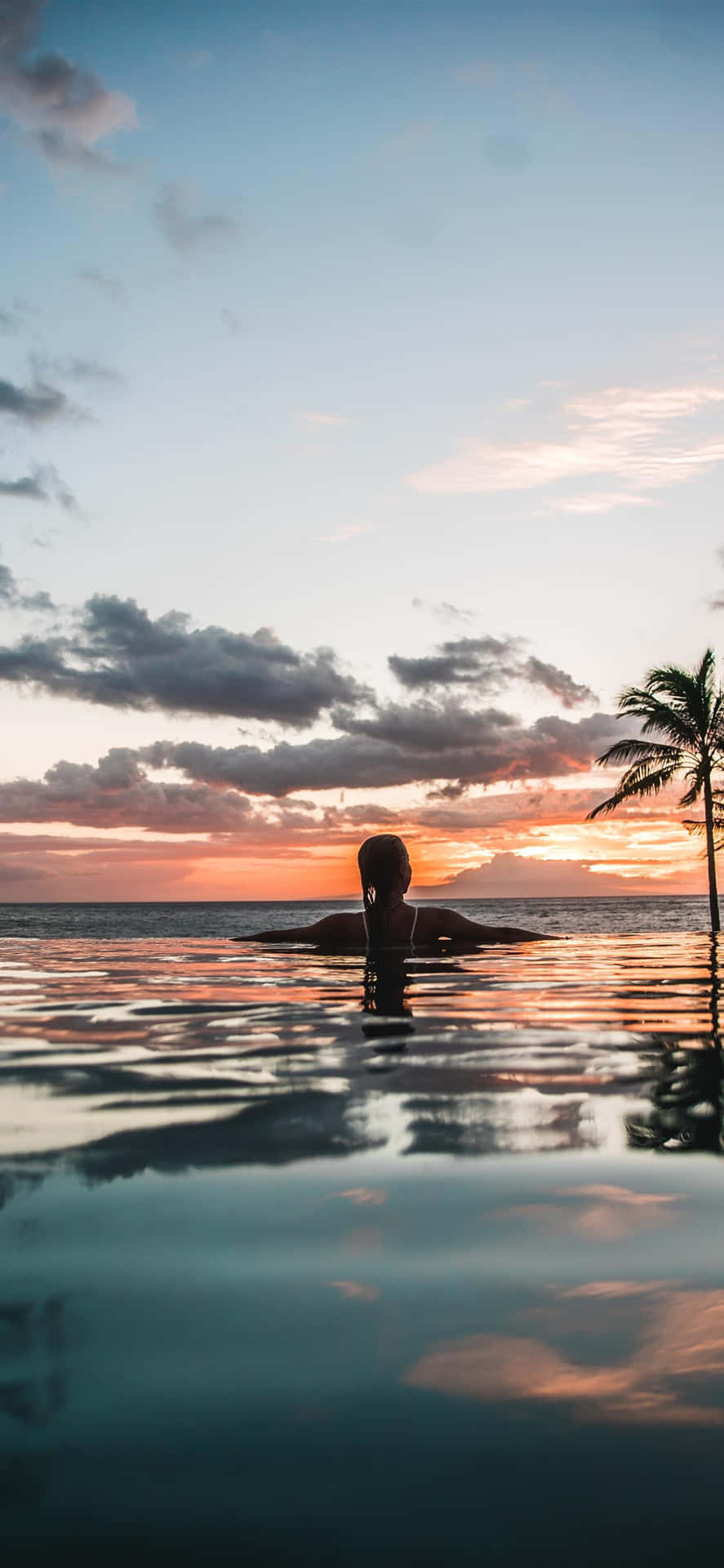 Infinity Pool, Sonnenuntergang, Palme, Person, Wasser, Hochformat, Hintergrundbild fürs Smartphone