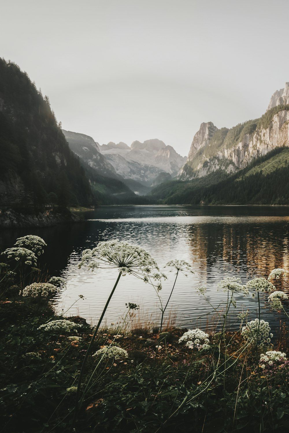 Bergsee, Wildblumen, Felswände, Bewölkt, HD, Sperrbildschirm fürs iPhone