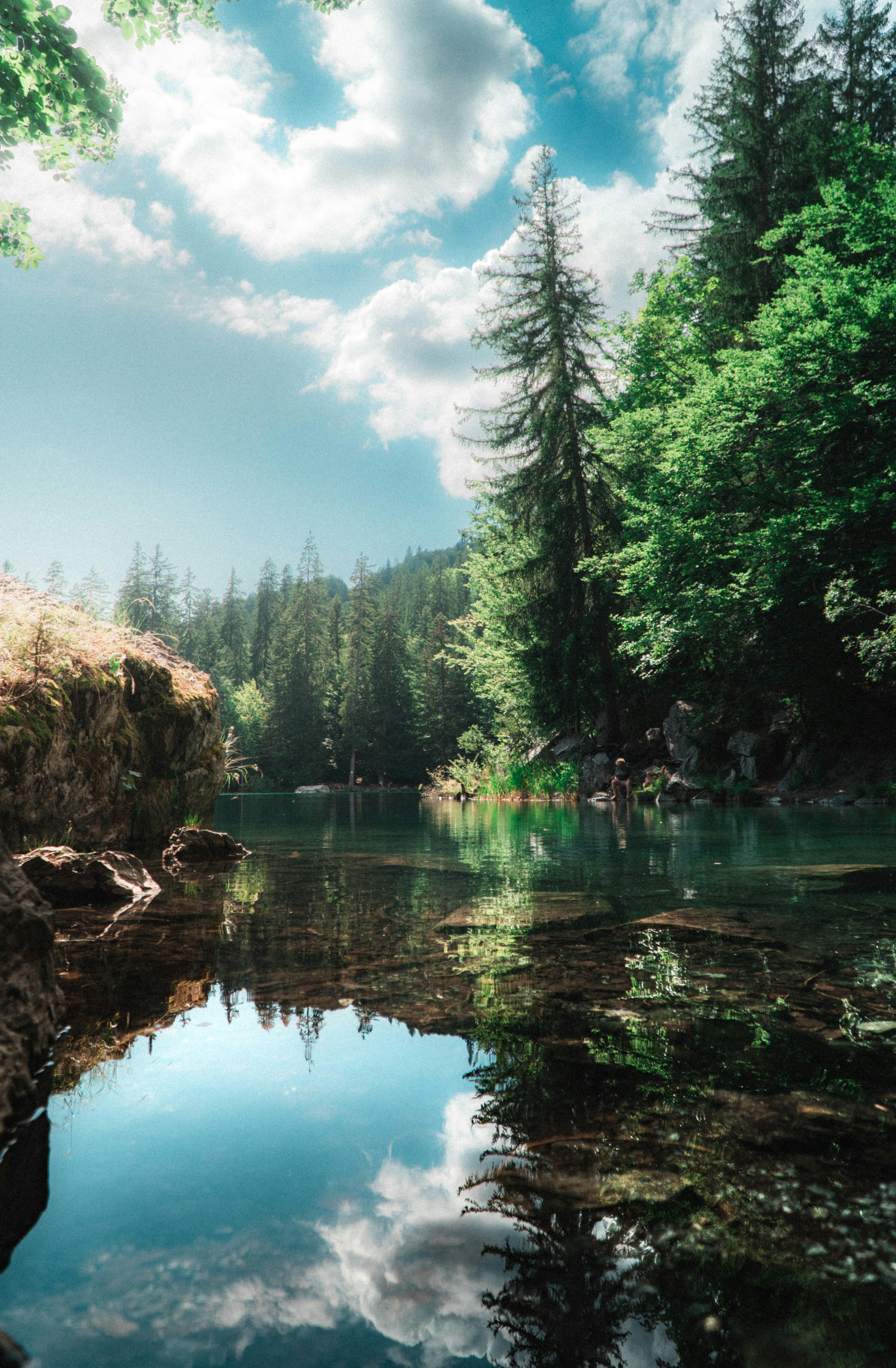 Bergsee, Tannen, Klares Wasser, Spiegelung, QHD+, Hintergrundbild fürs Handy