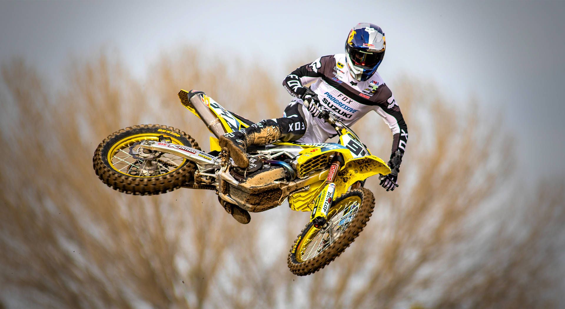 Suzuki, Motocross, Red Bull, Freestyle-Sprung, Gelbes Motorrad, Full HD, Desktop-Hintergrund