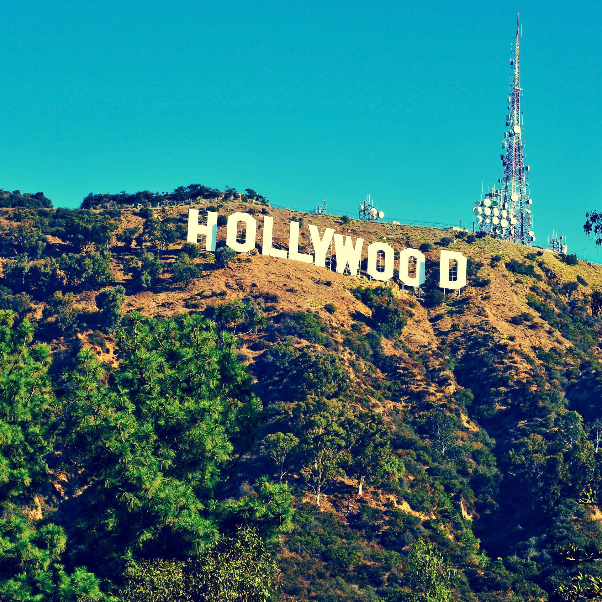 Hollywood Sign, Hollywood Hills, Los Angeles, Blauer Himmel, Hintergrundbild fürs iPad