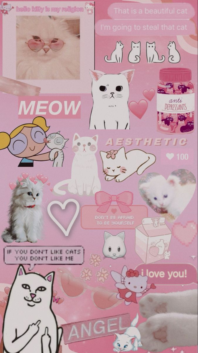 Collage, Katzen, Meow, Pastellrosa, Kawaii, Hintergrundbild für iPhone und Android