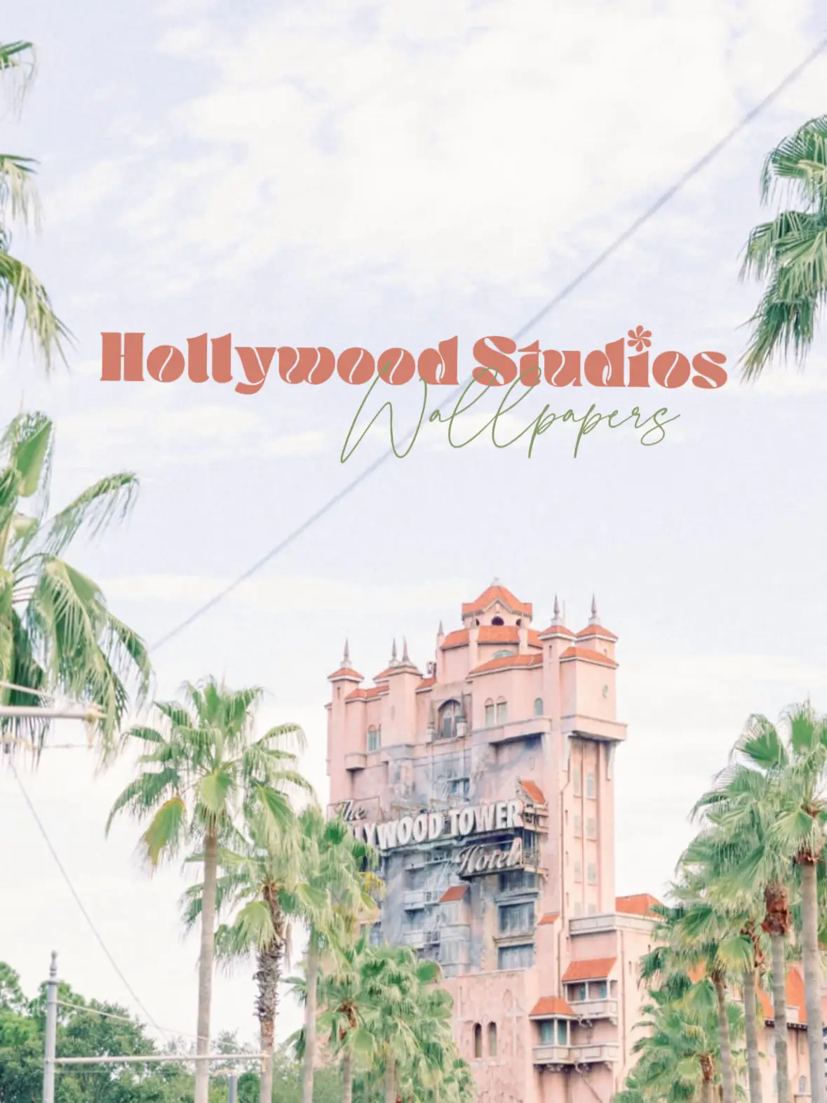 Disney's Hollywood Studios, Tower of Terror, Palmen, Schriftzug, Hintergrundbild fürs Tablet