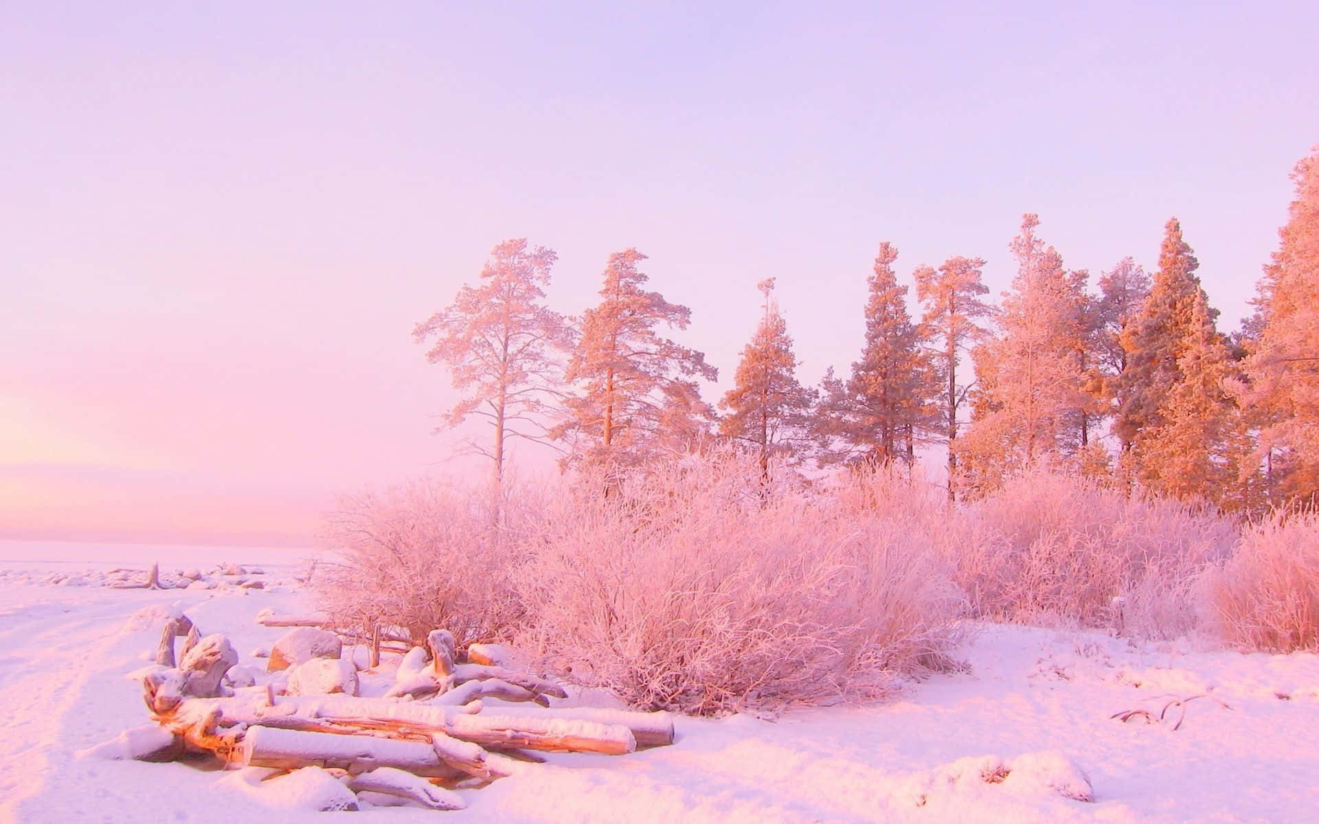 Winterlandschaft, Schnee, Bäume, Sonnenaufgang, Rosa Licht, Full-HD-Hintergrundbild für PC