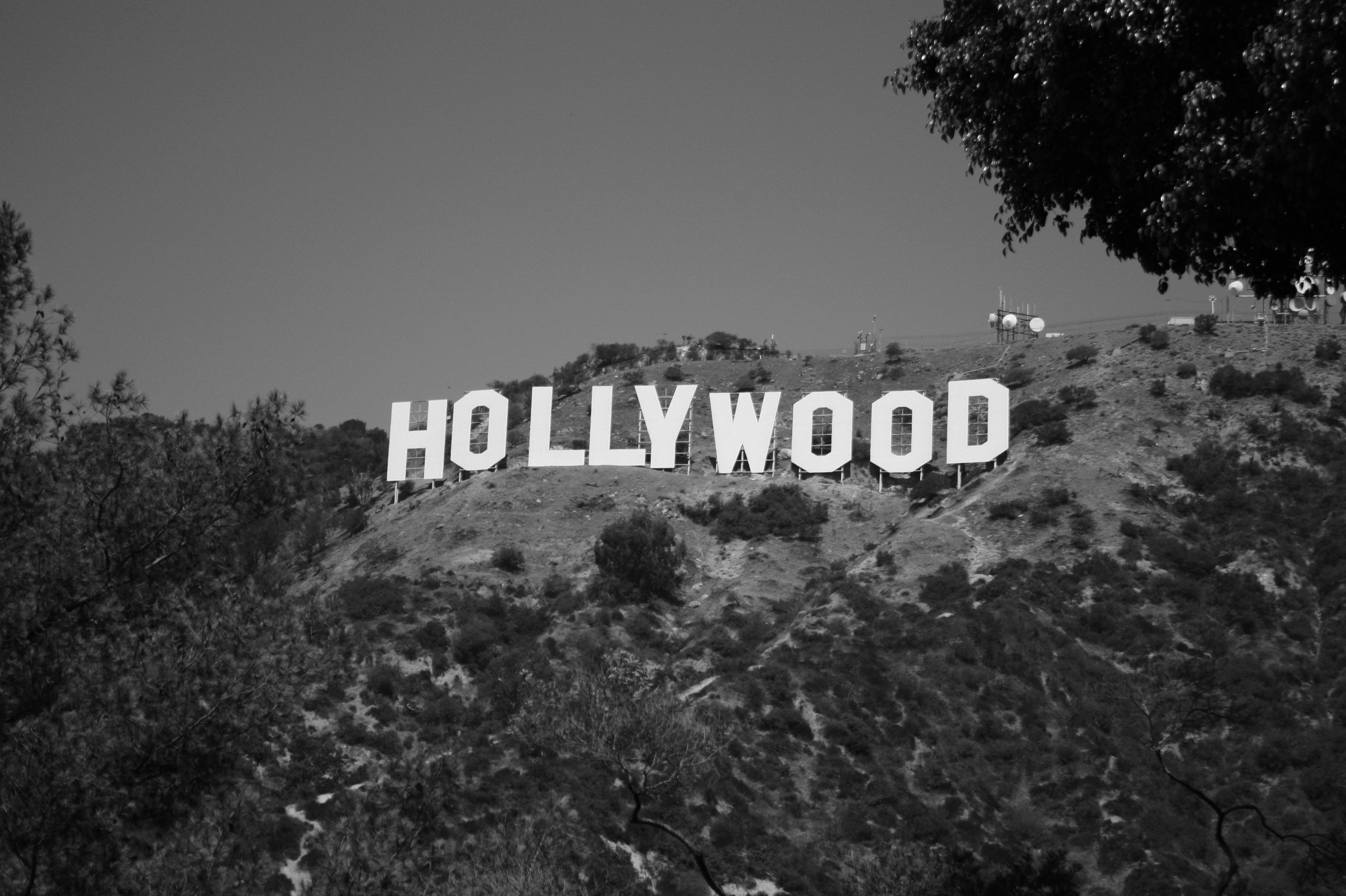 Hollywood Sign, Schwarz-Weiß, Hollywood Hills, 2K, Hintergrund für den Desktop