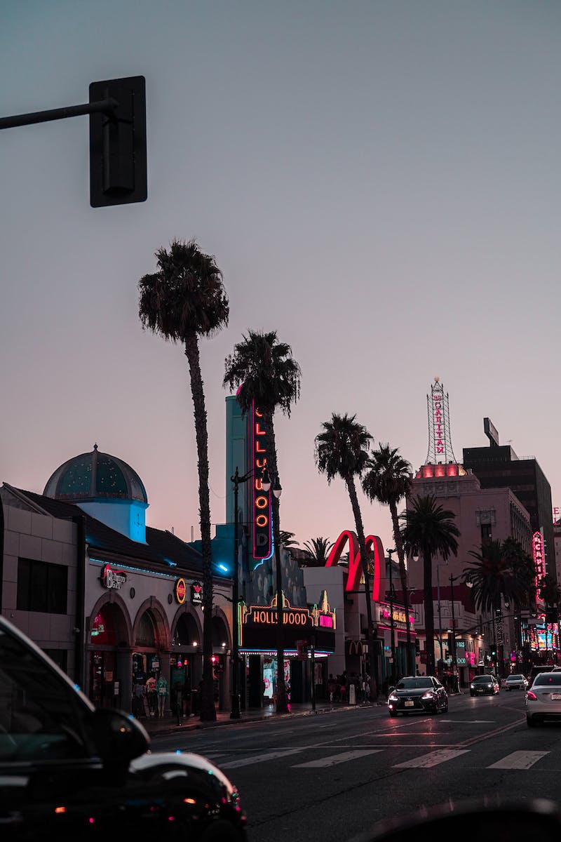 Hollywood Boulevard, Palmen, Ampel, Abenddämmerung, HD, Handy-Hintergrund im Hochformat