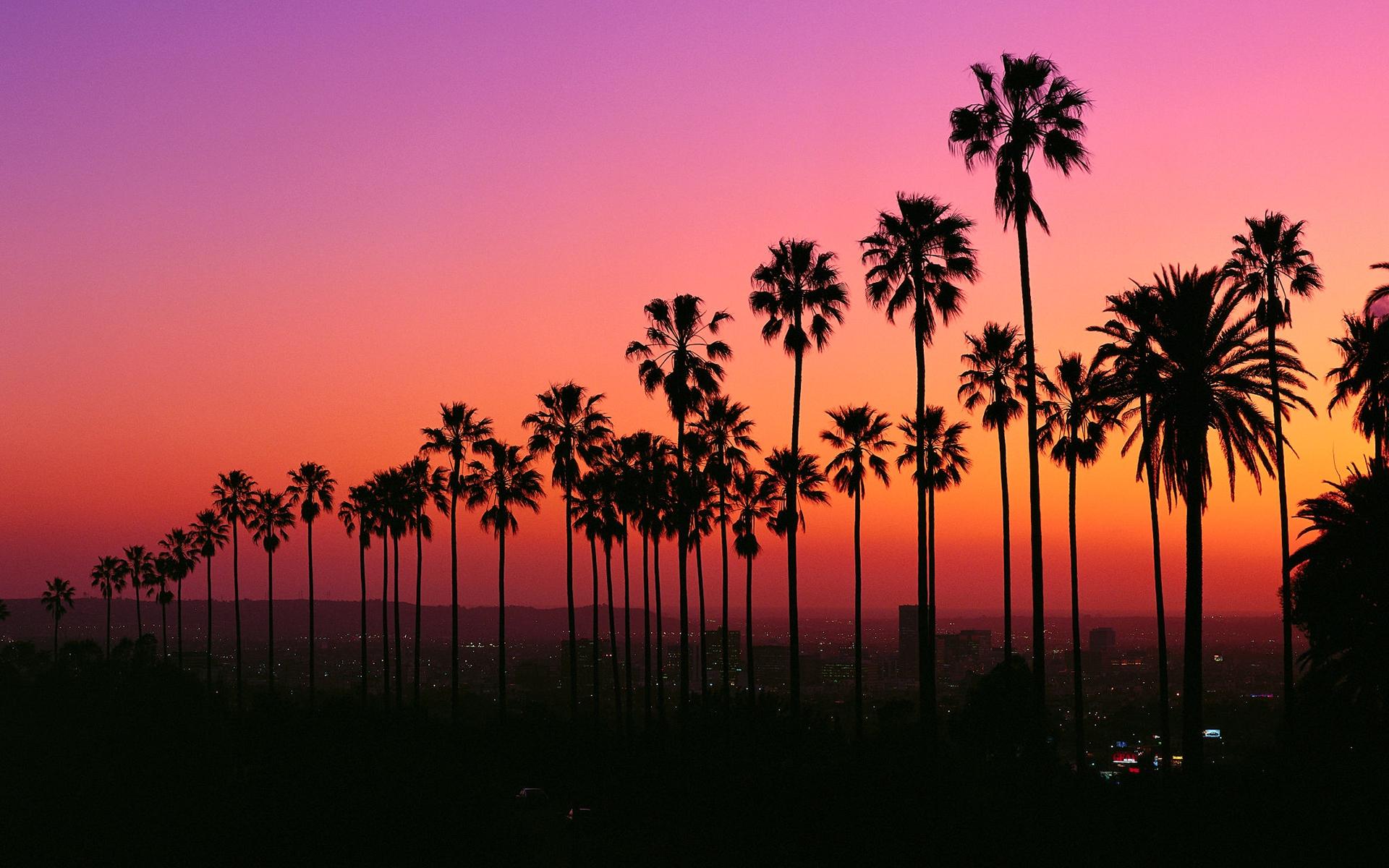 Palmen, Silhouette, Sonnenuntergang, Los Angeles, Farbverlauf, Full HD, MacBook-Hintergrundbild