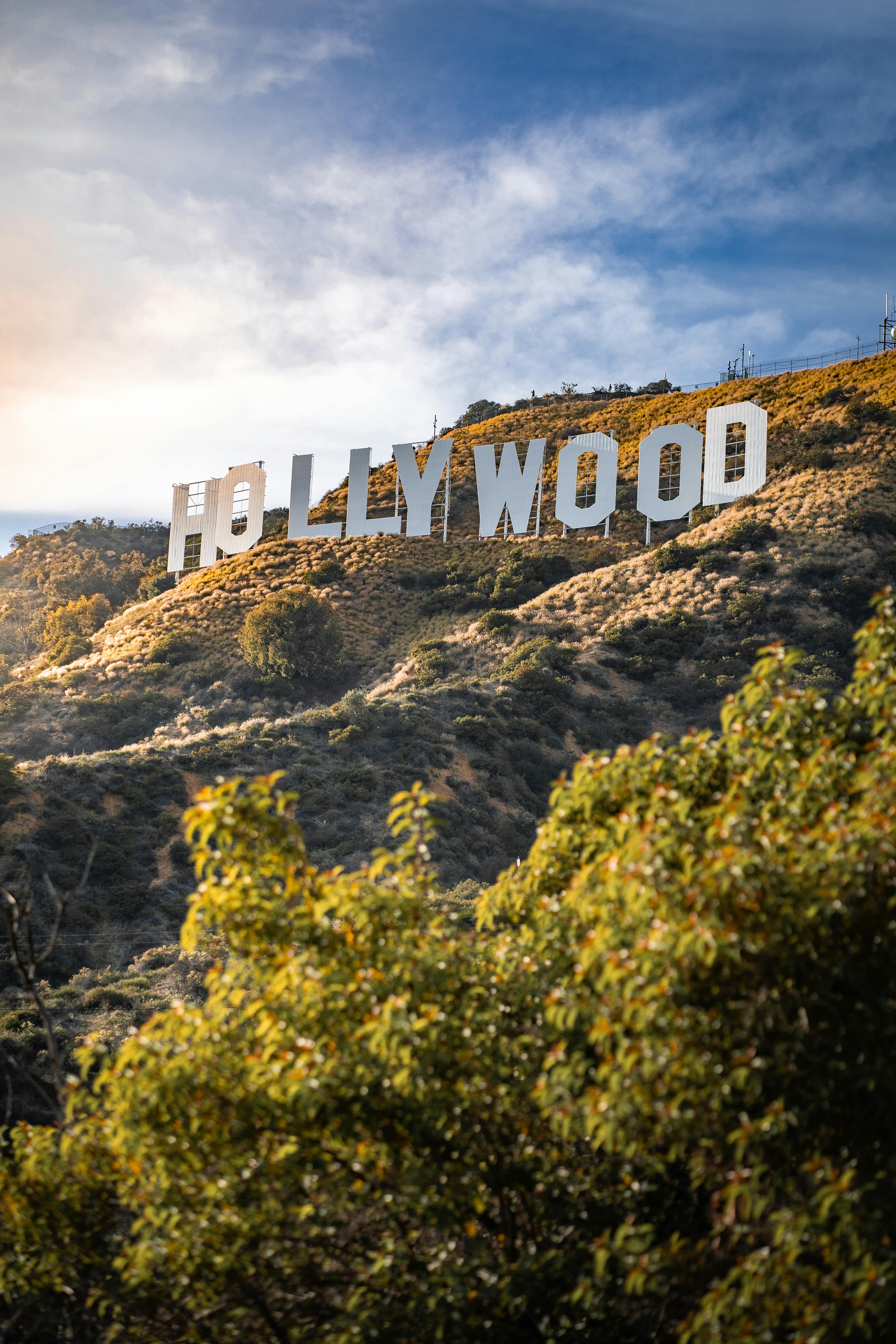 Hollywood Sign, Hollywood Hills, Sonnenlicht, Sträucher, Hintergrundbild fürs Handy