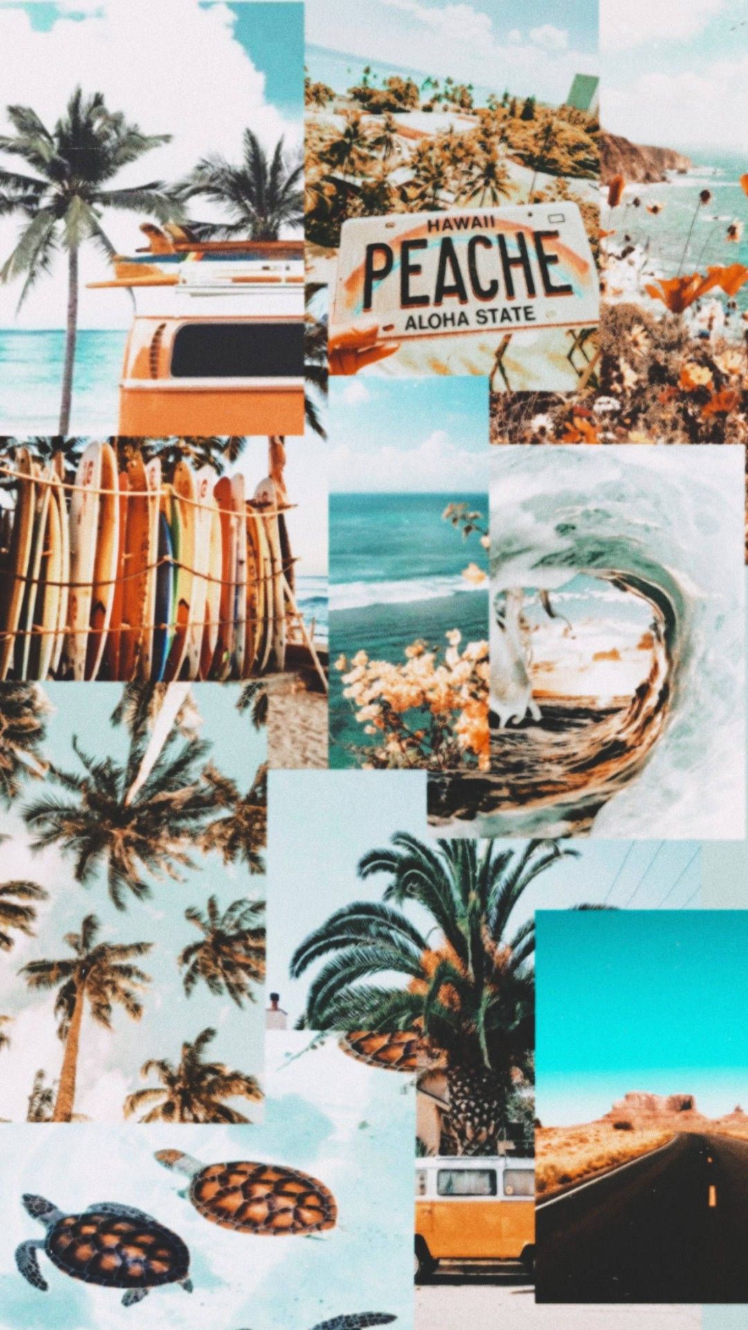Collage, Palmen, Peach, Strand, Türkis, Full HD, Hintergrundbild fürs Handy