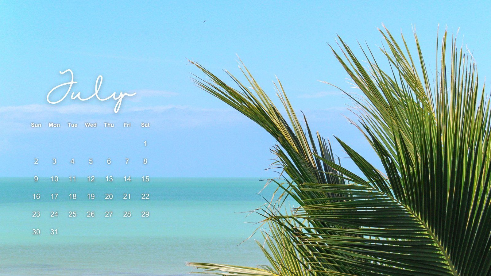 Juli, Kalender, Palmblatt, Meer, Schriftzug, HD, Desktop-Hintergrund für Windows