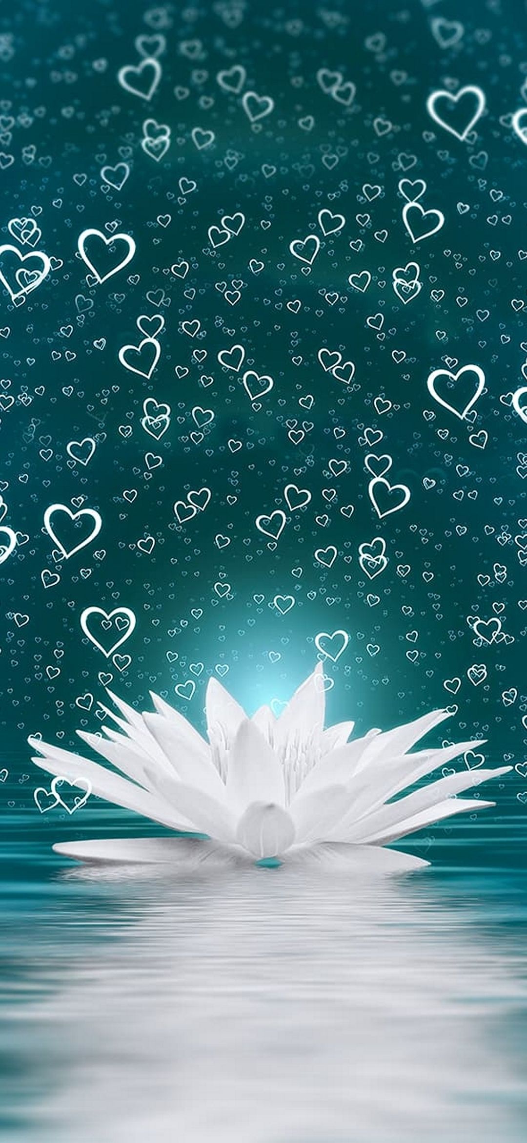 Seerose, Herzen, Wasser, Spiegelung, Petrol, Full HD, Handy-Hintergrund im Hochformat