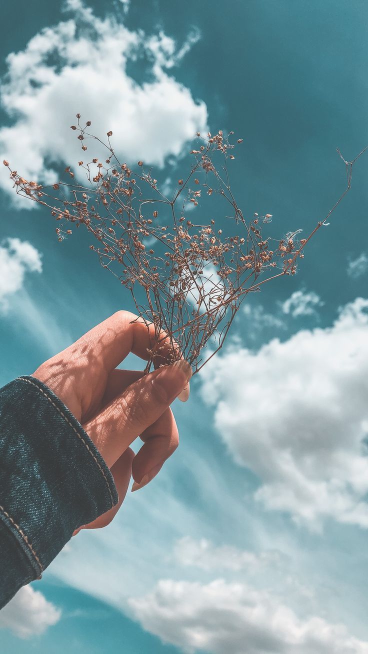 Hand, Löwenzahn, Wolken, Himmel, Surreal, HD, Hintergrundbild fürs Handy
