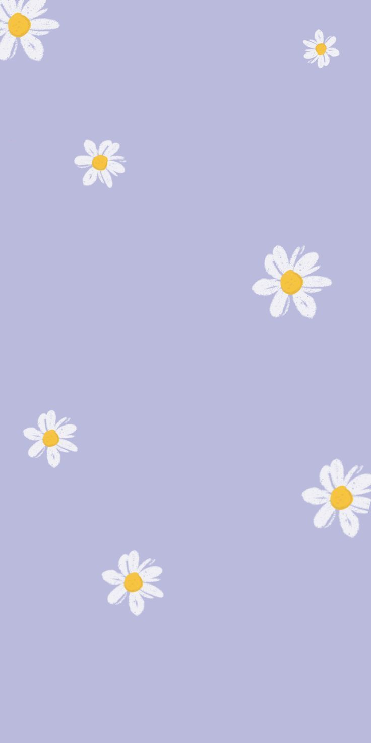 Gänseblümchen, Muster, Lavendelfarben, Minimalistisch, Pastell, HD, iPhone-Hintergrundbild