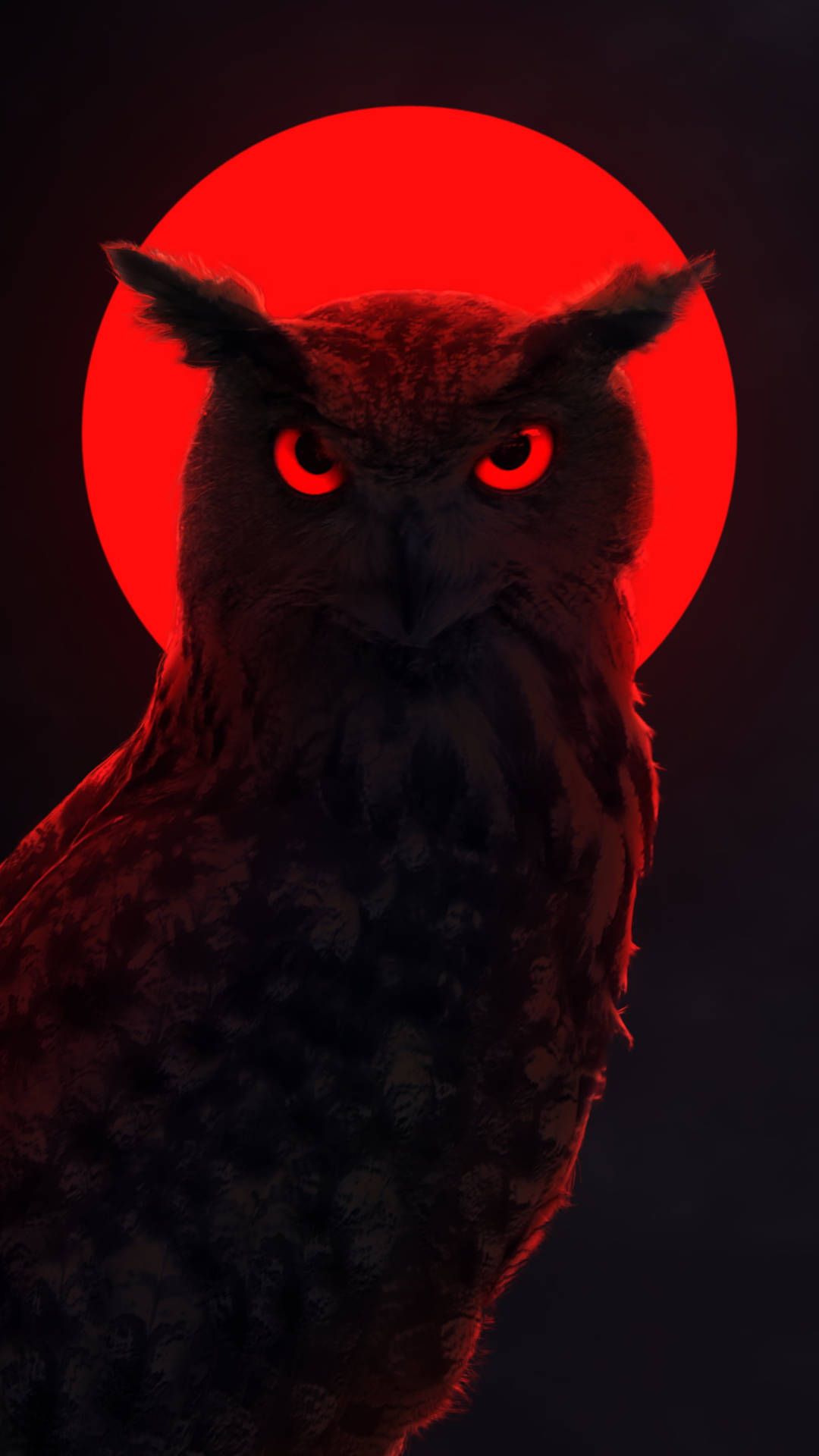 Eule, Silhouette, Roter Mond, Dunkel, Minimalistisch, Hintergrundbild für iPhone und Android
